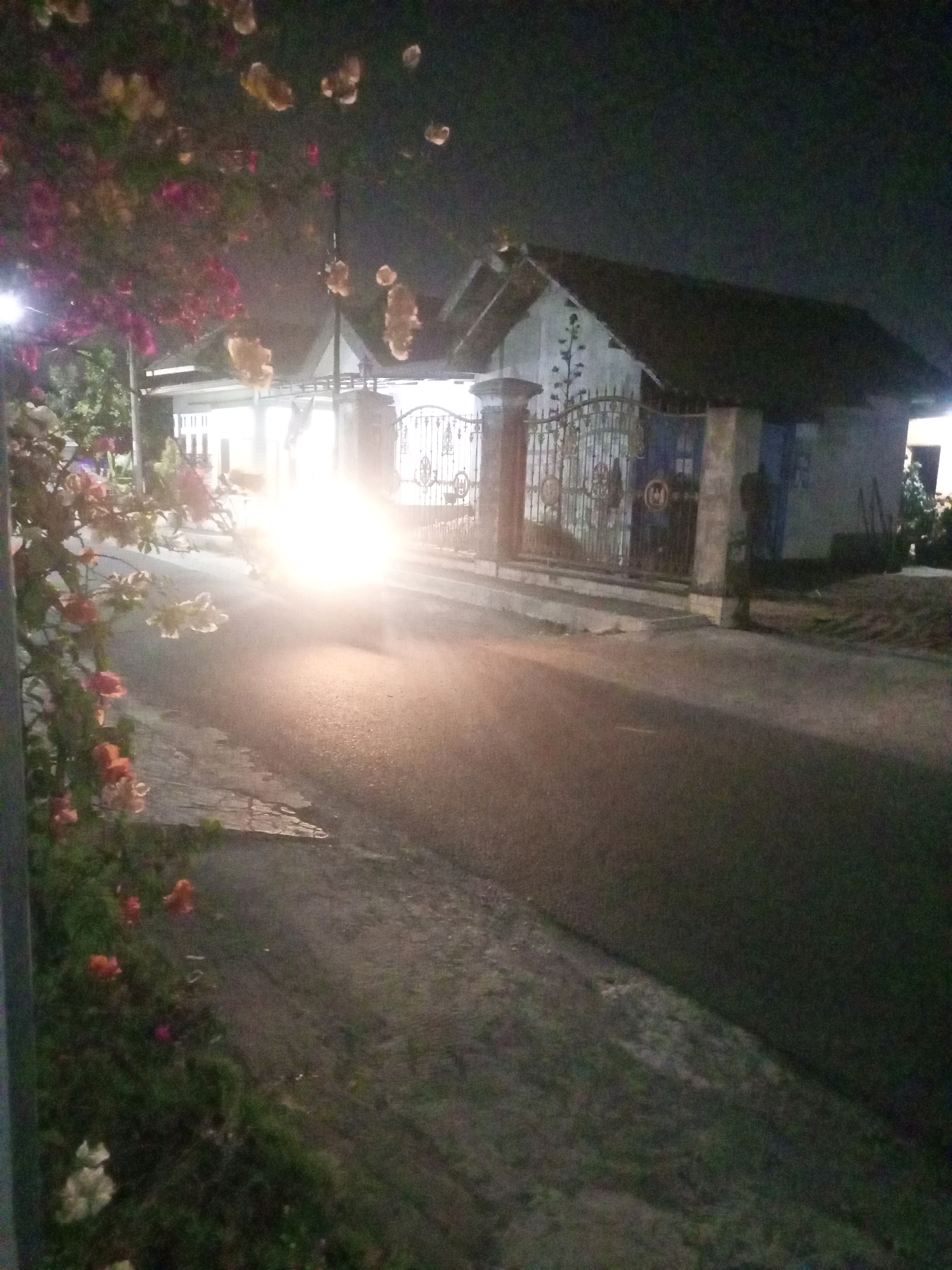 The image depicts a dark, nighttime scene on a street in Ngasem, Indonesia. A bright headlight from an approaching vehicle illuminates the asphalt road, creating a hazy glow. To the left of the road, a dense bush with pink and white flowers is visible, some of which hang over the edge of the sidewalk. In the background, a white house with a dark roof is partially obscured by foliage and darkness. A decorative metal gate stands in front of the house. The overall impression is one of a quiet, residential street at night, with the primary visual interest being the intense headlight and the surrounding vegetation.