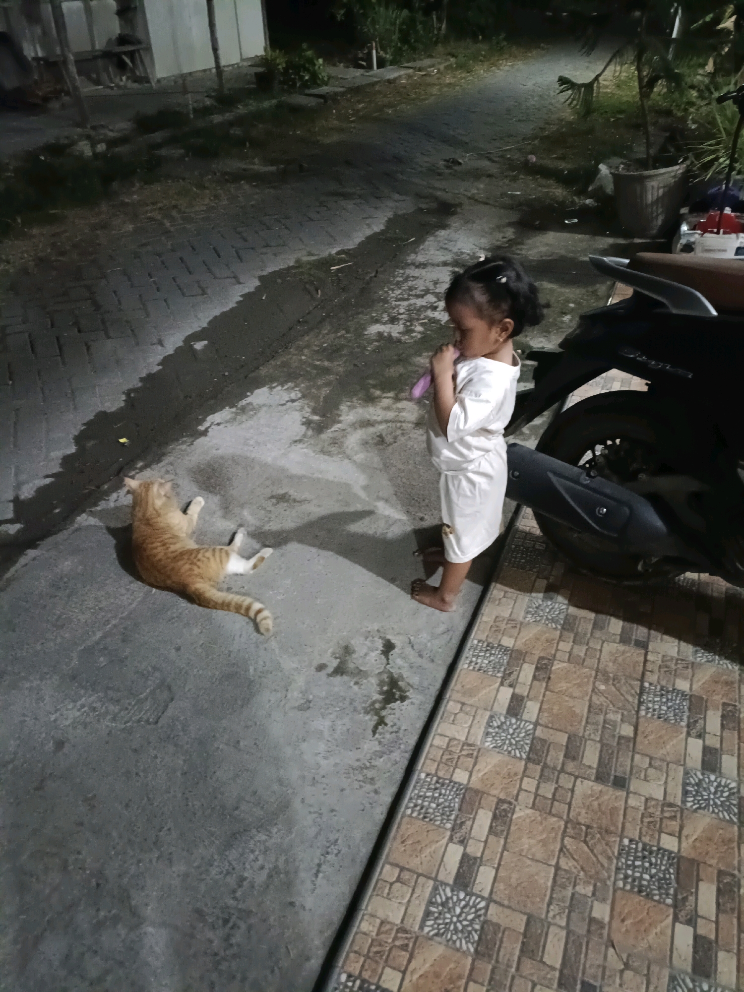 In Rancang Kencono, Indonesia, a young child stands on a tiled patio next to a motorcycle. The child, wearing a white garment, appears to be holding a pink object to their mouth. Nearby, an orange tabby cat lies on a paved surface, facing away from the child. The scene is dimly lit, suggesting it is nighttime. The surrounding environment includes a paved pathway and some vegetation.