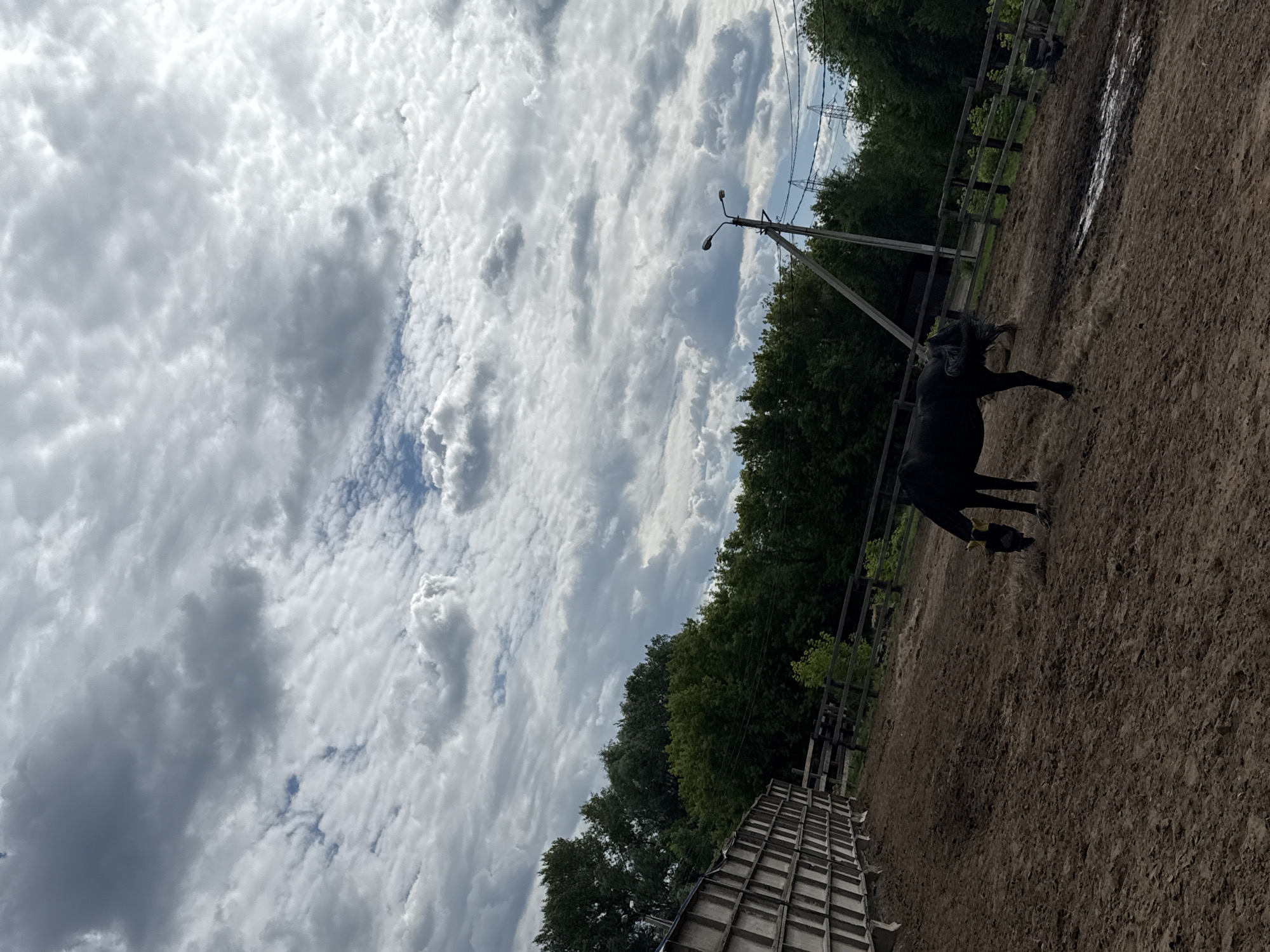 An outdoor scene features a dark-colored horse in a dirt enclosure under a cloudy sky. The horse is positioned in the middle-right of the frame, with its head lowered to the ground, possibly grazing. A wooden fence runs along the left side of the enclosure, and further back, a line of trees forms the backdrop. A tall utility pole with lights is visible in the right background, with power lines extending horizontally across the sky. The ground is uneven, with patches of mud and scattered hay. The overall environment suggests a rural or equestrian setting.