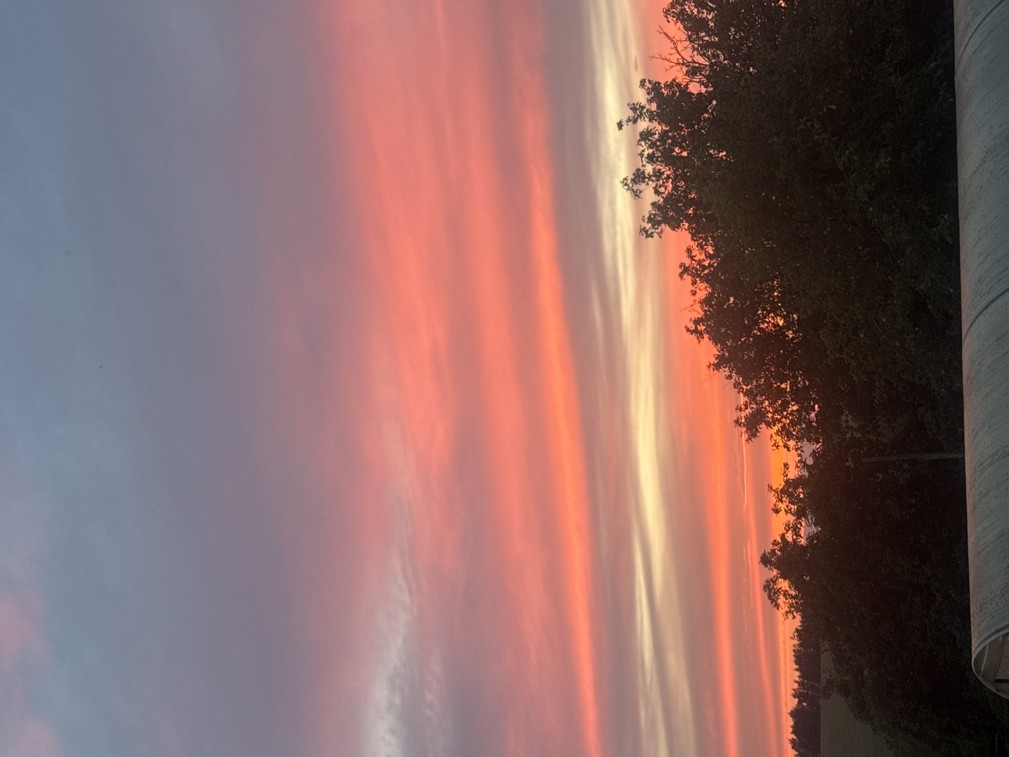 This is a vertical, wide-angle, outdoor photograph of a sunset. The sky is filled with vibrant streaks of pink and orange, transitioning to a softer purple and blue on the left side of the frame. Wispy clouds catch the light, creating a dramatic, layered effect. In the foreground, silhouetted against the colorful sky, are the tops of trees and a hint of darker foliage. To the far right, a portion of a light-colored, textured structure, possibly a wall or a cylindrical object, is visible. The image captures the beauty of the twilight, suggesting a peaceful and serene moment. The time of day is clearly sunset. No people, text, or specific objects are discernible beyond the natural elements and the partial structure. The location context places this scene in Alexandrovka, Russia.