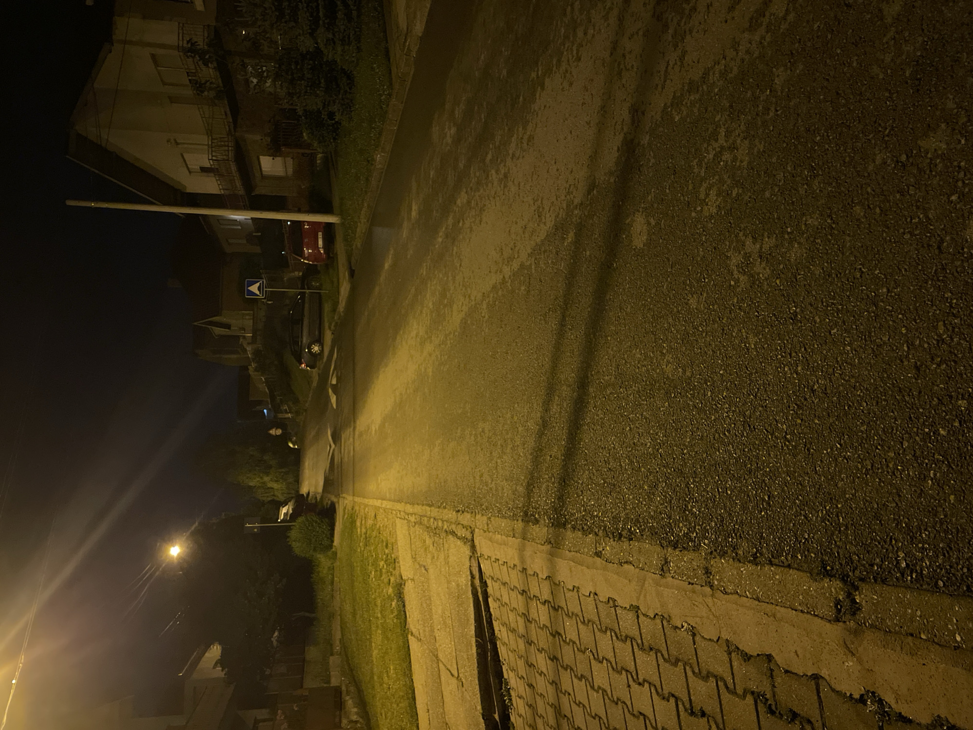 The image shows a dimly lit street in Sremska Kamenica, Serbia, at night. A street lamp illuminates the foreground, casting a yellow glow on the road surface, which appears to be wet. The road stretches into the distance, flanked by residential buildings on the left and a grassy area on the right. The street itself is paved with asphalt, and a brick-paved sidewalk runs along the right edge. A few parked cars and traffic signs are visible further down the street.