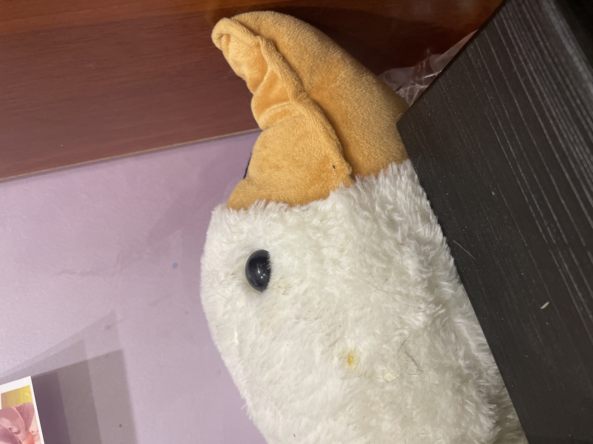 A plush toy goose with white and orange features is lying on a dark surface, possibly a shelf or table. The goose's head is visible, with a black eye and an orange beak. Behind the goose, a wall is painted a light purple color. To the right of the goose, a wooden surface, possibly furniture, is visible. The image appears to be taken indoors, in a residential setting. There is no discernible location information within the image to suggest it is in the city of ЖК «Борисоглебское», Russia.