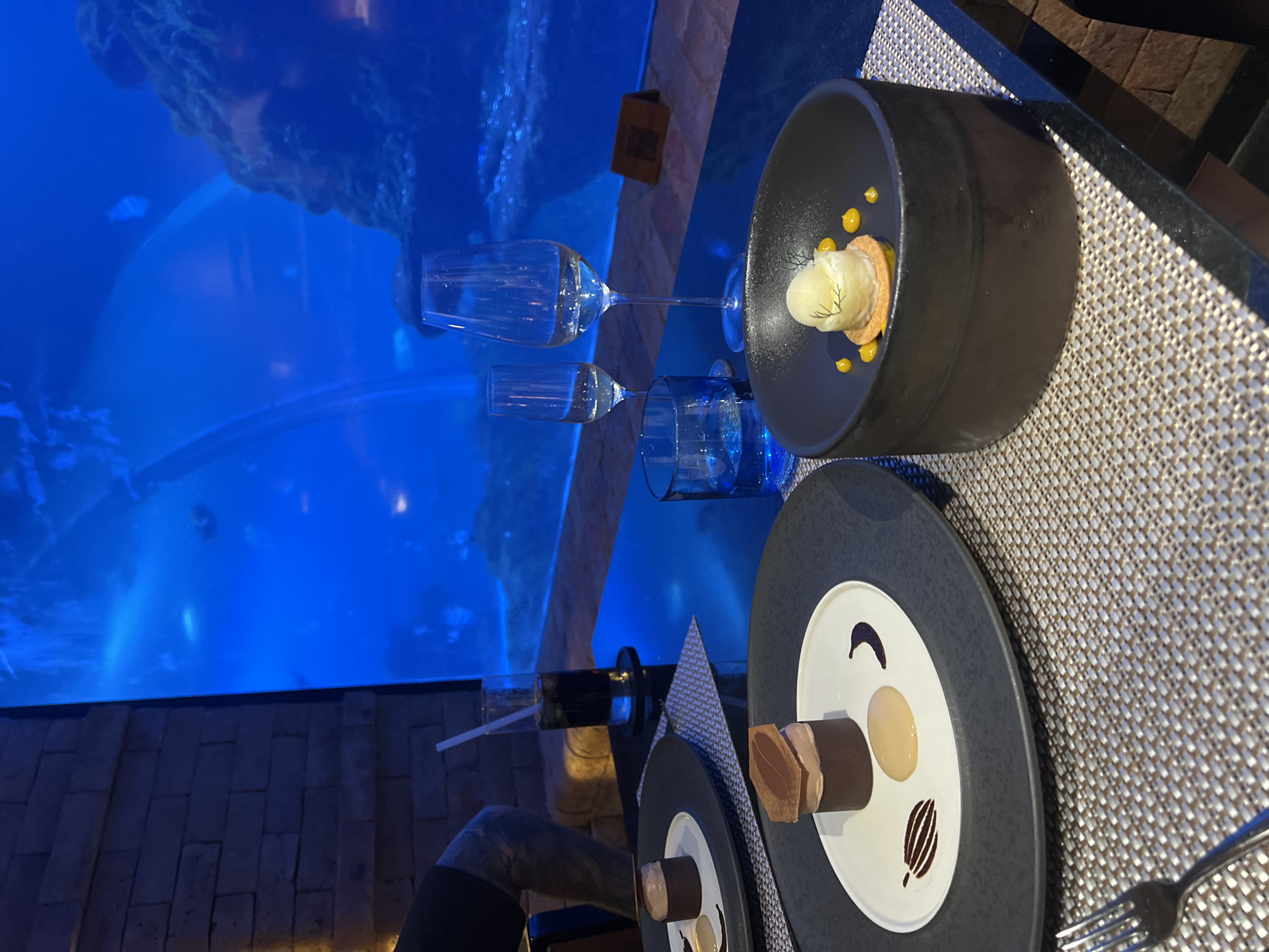 The image captures a table setting in what appears to be an upscale restaurant, with a view of a large aquarium. Two wine glasses and a shorter glass containing a drink with a straw are visible on the table. The food being served includes a dish in a deep, matte black bowl, containing what looks like ice cream or sorbet with small yellow dollops. Another plate holds intricately plated desserts, including a cylindrical chocolate confection.
The location can be inferred to be in Kuta Selatan, Indonesia, based on the additional context provided. This area is known for luxury resorts and dining experiences, which align with the image's aesthetic. The environment is sophisticated, with the blue glow of the aquarium providing a unique and calming backdrop.