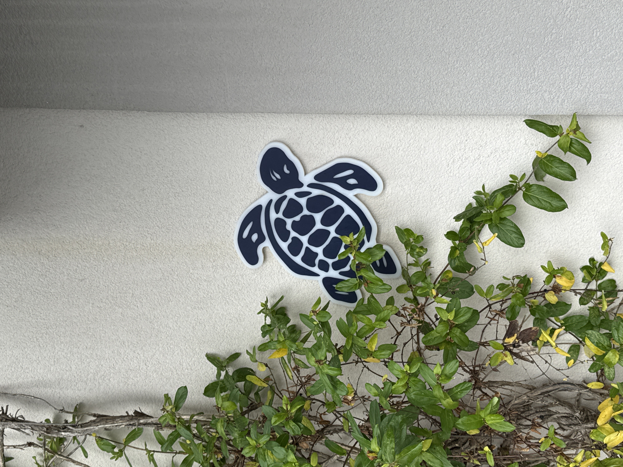 The scene depicts a textured beige wall with a dark blue stylized turtle decal adhered to the upper left side. A climbing plant with green and yellowing leaves partially obscures the lower right area of the wall. The background suggests an exterior setting. While it is impossible to pinpoint the exact location in Tivat, Montenegro based on the provided image, the presence of the turtle decal and the climbing plant hints at a possible residence or building near a coastal environment.