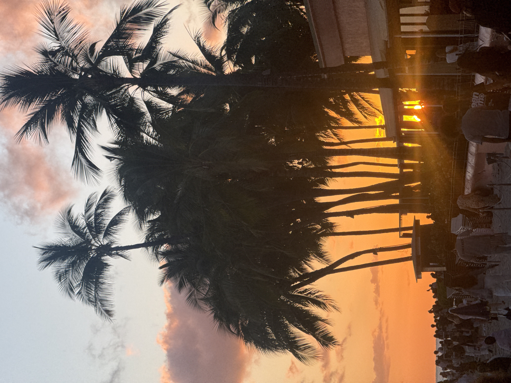 The image captures a sunset in Honolulu, Hawaii. Silhouetted palm trees dominate the foreground, obscuring the details of the crowd gathered along what appears to be a beach or promenade. The sky is a mix of orange and pink hues, with the setting sun creating a bright glow between the trees. There are people and furniture on the right side of the photo.