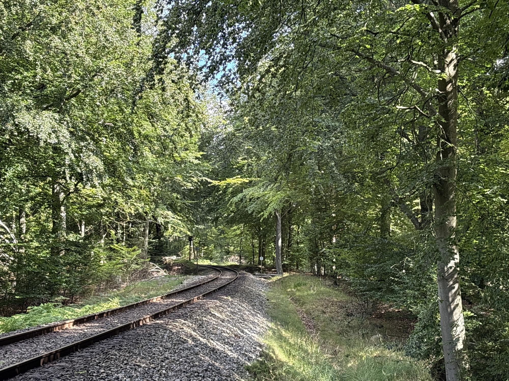 The image depicts a set of train tracks curving through a dense forest in Nødebo, Denmark. The tracks are made of gravel and are laid out parallel to each other, disappearing into the distance. Lush green trees with thick foliage line both sides of the tracks, creating a tunnel-like effect. Sunlight filters through the leaves, dappling the ground and the tracks with patches of light and shadow. The environment appears natural and serene, with no people or animals visible in the scene. The trees are diverse, with some appearing older and thicker, while others are younger and more slender. The overall impression is one of a peaceful natural landscape, with the train tracks serving as a man-made element cutting through the wilderness.