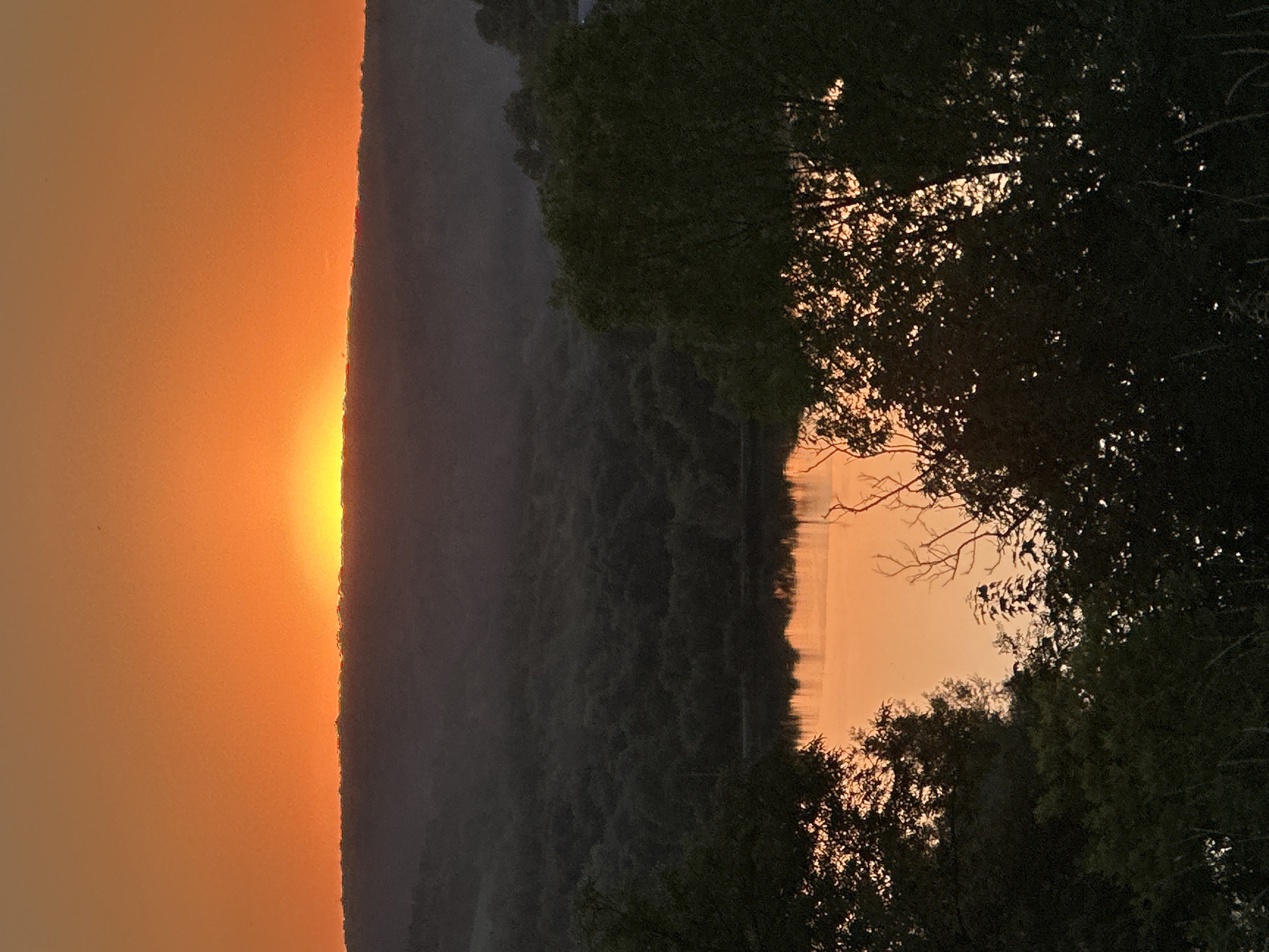 The image depicts a sunset over a body of water, likely a lake or river, with rolling hills covered in dense forest in the background. The sky is a vibrant gradient of orange and yellow, with the sun just dipping below the horizon line of the furthest hills. The water in the foreground reflects the warm colors of the sky, creating a shimmering effect. Silhouetted trees frame the scene in the foreground, their dark foliage contrasting with the bright sky and water. The overall impression is one of natural beauty and tranquility. The location is Makiv, Ukraine. There are no people, animals, or man-made structures visible in the image. The scene is entirely natural.