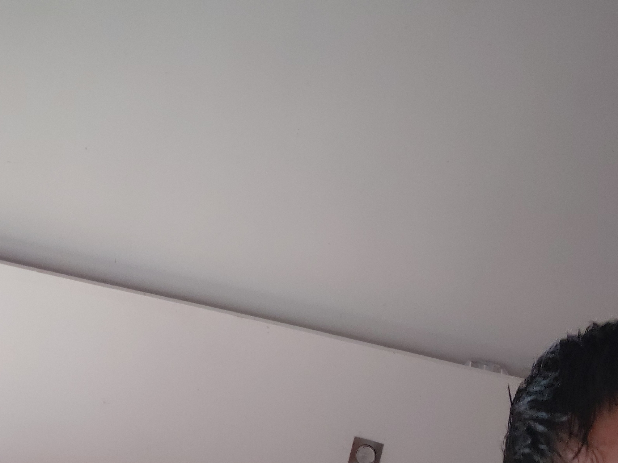 The image captures an indoor scene, primarily featuring a plain, light gray or white ceiling and a matching wall, presumably within a building in Santa Ana, Venezuela. The ceiling dominates the upper portion of the frame, appearing smooth but showing faint, small, dark specks or minor imperfections upon closer inspection. A clear horizontal line delineates the ceiling from the wall.
In the lower right corner, a portion of a person's head with dark, possibly wet or styled, hair is visible. Towards the lower left of the wall, a small, square-shaped fixture with a circular element in its center is present, suggesting a light switch, control panel, or an electrical outlet. Near the upper right, where the ceiling meets the wall, there's an indistinct, light-colored shape that could be a vent or another architectural detail.
No specific activity or event is depicted, and the scene is static. The lighting is consistent with an interior setting, but the time of day or external weather is not discernible. No text is visible in the image, and due to the partial view of the person, no emotions can be interpreted.