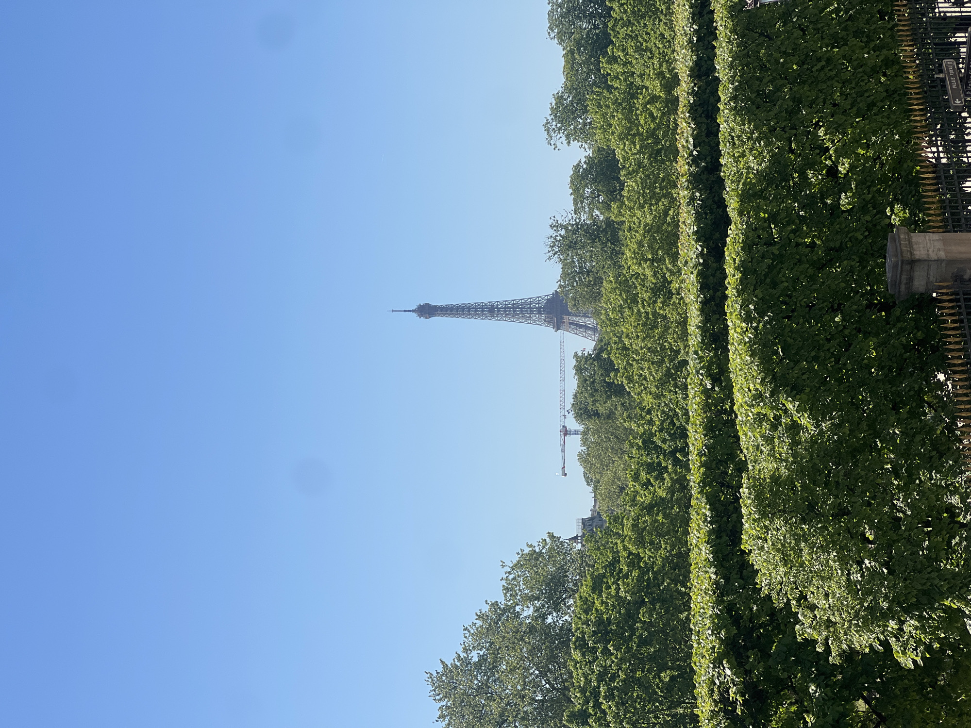 The image, captured in Paris, France, presents a striking view of the Eiffel Tower against a clear blue sky. The iconic structure of the Eiffel Tower rises prominently on the left side of the frame, its intricate ironwork visible against the bright expanse. Towards the middle-right, a construction crane with a long arm is silhouetted against the sky, positioned behind the tower. Filling the right portion of the image is a dense, lush barrier of green trees and meticulously trimmed hedges, which appear to form a natural boundary or a park landscape. Several rows of this vibrant foliage can be observed, creating depth. In the bottom-right corner, partially obscured by the greenery, a section of a decorative black metal fence with golden spikes is visible. Resting on a stone pillar next to the fence is a dark rectangular sign, bearing white text that clearly reads "PALAIS ROYAL I" accompanied by a right-pointing arrow, indicating a nearby point of interest. The sky is a uniform, cloudless light blue, suggesting a sunny and pleasant daytime environment. A subtle dark smudge is present in the upper left of the sky, likely a minor lens artifact. The photograph encapsulates a classic Parisian scene, combining historical architecture with natural urban beauty under a bright, clear sky.