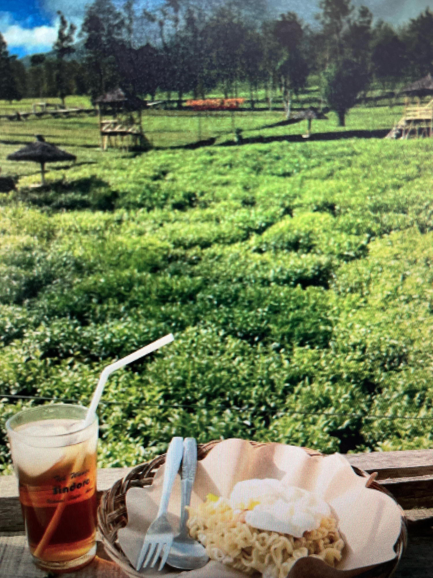 The image depicts a close-up view of a table with food and a drink, set against a backdrop of a lush green field with scattered trees and some structures. In the foreground, on the table, there is a glass of iced tea with a straw, a wicker basket containing what appears to be instant noodles topped with an egg, and a pair of plastic cutlery. The drink is amber-colored and the glass has some orange text, possibly a brand name. The noodles are pale yellow and glistening, with a white egg placed on top. The background shows a vast expanse of green vegetation, likely a tea plantation or a similar agricultural field. Several small thatched-roof structures and what looks like a wooden gazebo are visible in the middle ground. In the far distance, there are more trees and hills, with a cloudy sky overhead. The scene suggests a tranquil, outdoor dining experience in a scenic rural or park-like setting. The location is identified as Sejahtera, Indonesia, a detail that provides geographical context to this pastoral landscape.
