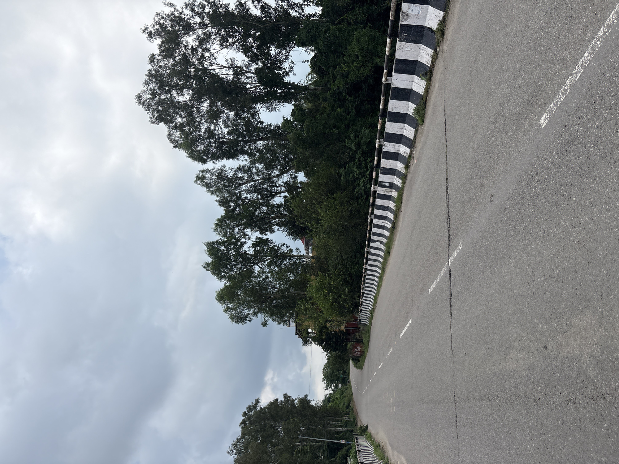 The image shows a paved road in Baldwara, India, curving to the left and lined with a black and white striped barrier. Tall trees with lush green foliage flank the road, creating a natural canopy. The sky is overcast with heavy clouds, suggesting a cloudy or potentially rainy day. The road appears to be in moderate condition, with visible cracks and worn white lane markings. There are no people or vehicles visible in the scene. The environment is predominantly natural, with the road cutting through a vegetated area.
