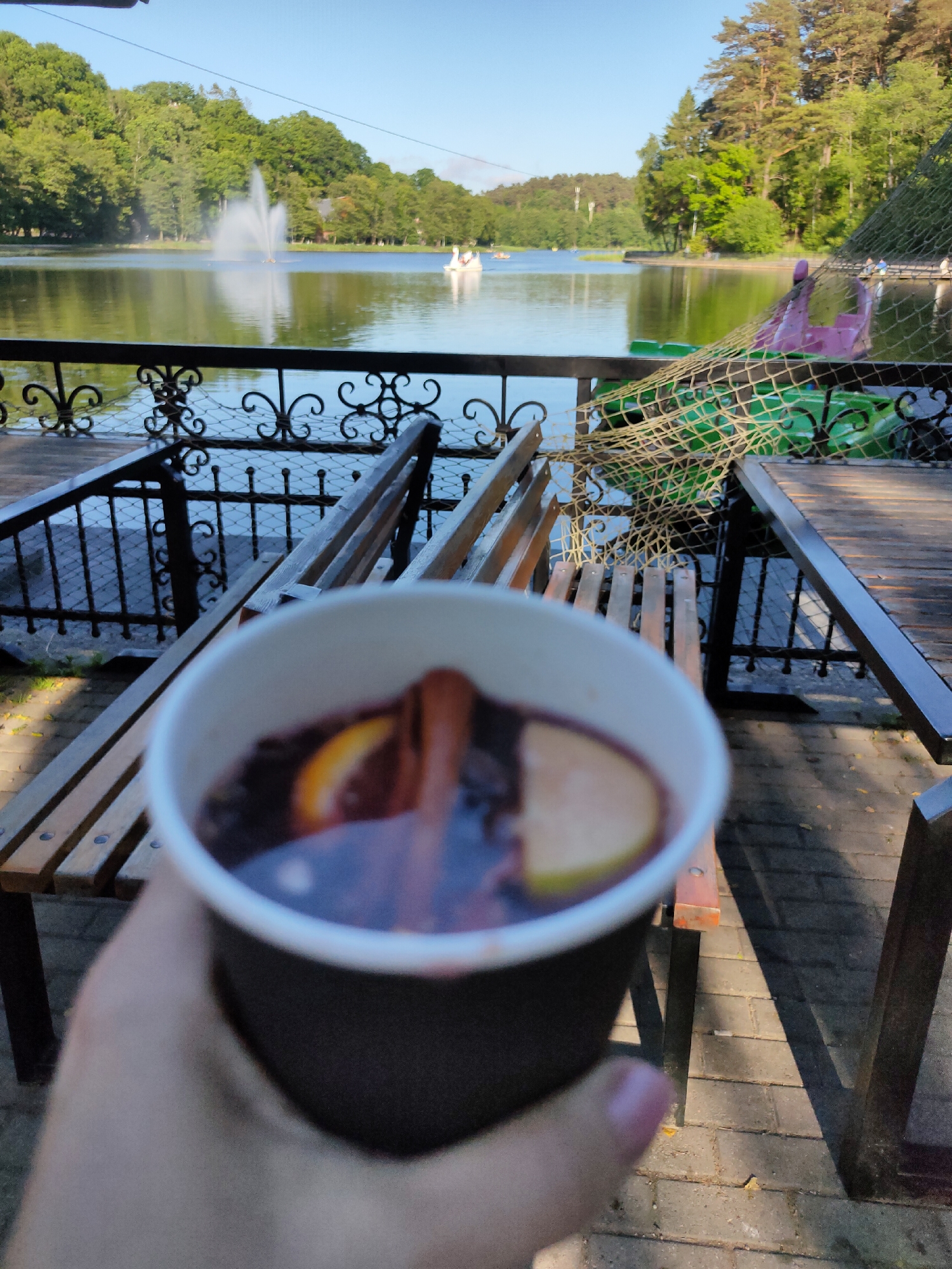 A first-person perspective shot captures a disposable cup filled with mulled wine, complete with an orange slice and cinnamon sticks, held in front of a scenic lake. In the background, a fountain sprays water into the lake, and two swan-shaped pedal boats are visible. The lake is surrounded by lush green trees, suggesting a park or recreational area. A metal railing separates the viewer from the lake, and a wooden bench and table are positioned in the foreground. The overall ambiance is relaxed and inviting, with the warm sunlight creating long shadows on the paved ground. The scene is likely set in Svetlogorsk, Russia, a city known for its beautiful coastal parks and lakes.