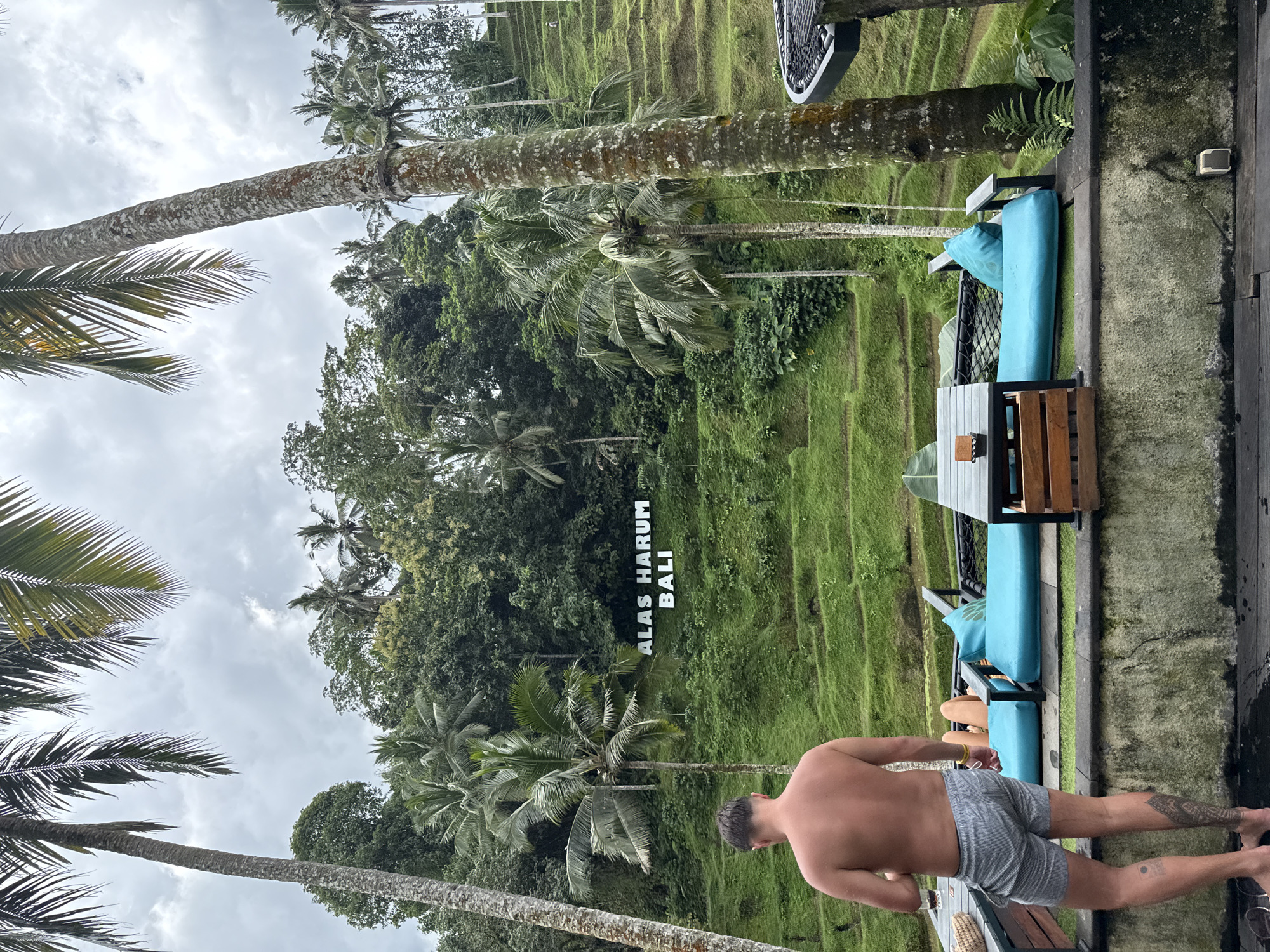 The image, taken in Tegallalang, Indonesia, depicts a breathtaking panoramic view of lush green rice terraces and dense tropical foliage under an overcast sky. The scene is observed from an elevated outdoor seating area.
In the foreground, a shirtless man with dark hair, wearing grey-and-white striped swim shorts, stands with his back to the camera. He appears to be looking out at the expansive landscape. A prominent tattoo is visible on his left leg. To his right, partially visible, another person is seated on a turquoise-cushioned outdoor bench. The seating area features light blue cushions and black metal frames, along with wooden tabletops.
The background is dominated by the iconic terraced rice paddies, which cascade down a hillside in various shades of vibrant green. Numerous tall palm trees dot the landscape, some with long, bare trunks, others with full crowns of fronds. The sky above is a light, cloudy gray, suggesting either an overcast day or early morning/late afternoon.
A significant detail is the white text "ALAS HARUM BALI" spelled out in large capital letters on a section of the green hillside, serving as a clear location marker. This identifies the scene as the Alas Harum Agrotourism site, renowned for its coffee and scenic views in Bali. The overall atmosphere conveyed is one of serene natural beauty and relaxation, characteristic of a tropical holiday destination.