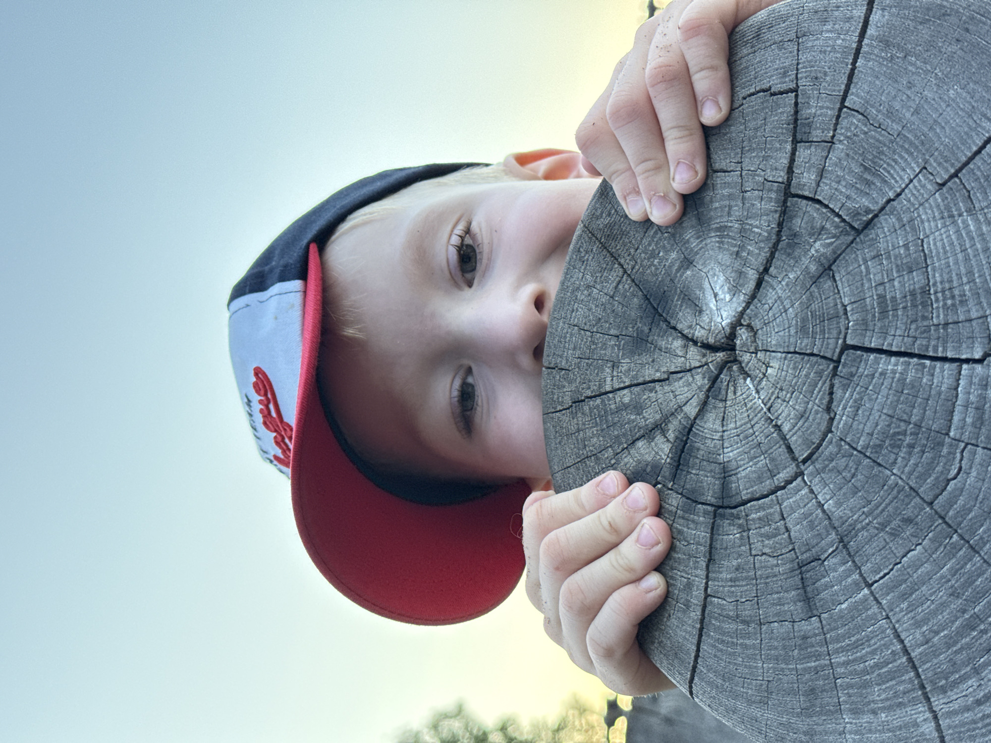 A playful outdoor portrait captured in Chaikovsky, Russia, features a young child with fair skin and light hair, peeking directly at the camera. The child is wearing a baseball cap with a dark blue top, a red brim, and a white front panel where the word "Love" is embroidered in red script. Both of the child's small hands, slightly grimy, are gripping a large, weathered wooden log or post that dominates the right side of the frame.
The wooden object displays prominent annual rings and deep, visible cracks, indicating its age and exposure to the elements. The child's face is partially obscured by the wood, with only their right eye, nose, and mouth fully visible, conveying an expression of innocent curiosity or playful engagement. The image is composed from a low angle, with the child and the wooden log appearing to be looking down at the viewer or rotated onto their side.
The background is dominated by a clear, bright sky, suggesting daytime, likely late afternoon or early evening given the soft, warm quality of the light. A hint of blurred green foliage or distant ground is visible at the very bottom edge of the frame. The overall scene suggests an outdoor playtime activity in a natural or park-like setting.