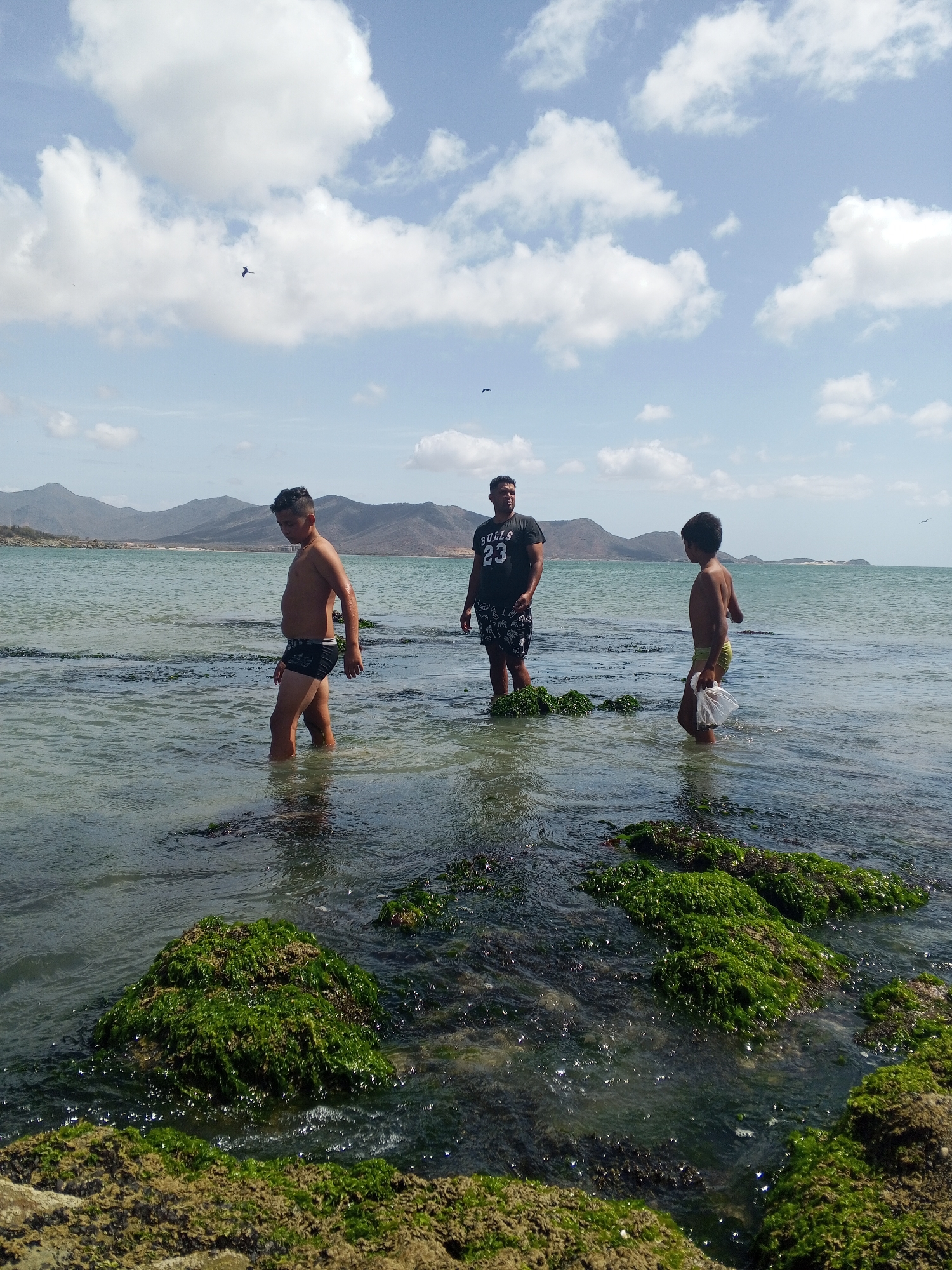 The image depicts three individuals standing in shallow water near a rocky shore. The person on the left wears dark swimming trunks. The person in the center wears a dark t-shirt with "BULLS 23" printed on it, and dark shorts with a light-colored print. The person on the right is a child wearing light-colored swimming trunks and holding a clear plastic bag. The water is clear and contains visible green algae on the rocks. In the background, there is a hilly coastline and a sky with scattered clouds. The location is the city of Juan Griego, Venezuela.