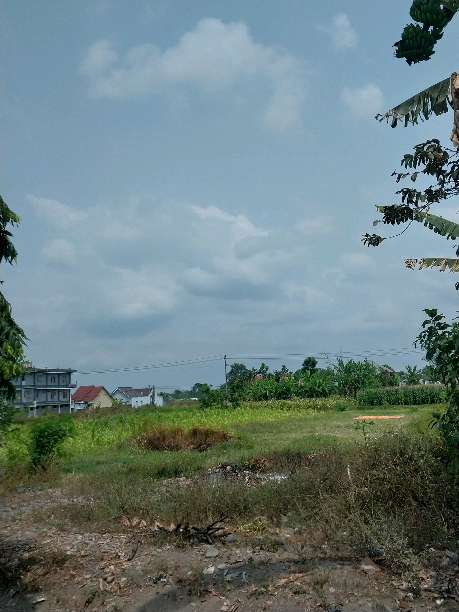 The image depicts an outdoor scene in Tirtomartani, Indonesia. The foreground is a rough, dirt ground with scattered debris. Beyond this, a grassy area transitions into fields with various vegetation, including what appears to be banana trees and corn crops. In the middle ground, several houses are visible, including a multi-story building under construction on the left and smaller residential structures with red and white roofs. The background features more greenery and a power line stretching across the horizon. The sky is overcast with a mix of blue and gray clouds. The overall impression is a rural or semi-rural landscape with agricultural activity and ongoing construction.