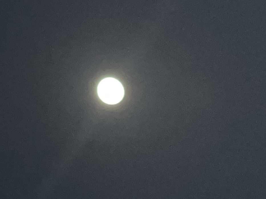 This media file captures a celestial scene at night, likely in Bagamoyo, Tanzania. The primary subject is a bright, full or nearly full moon, prominently centered against a dark sky. The moon appears as a luminous white disc, radiating a soft glow that subtly illuminates the surrounding atmosphere, suggesting either thin cloud cover or atmospheric haze. No distinct craters or features are visible on the moon's surface due to its intense brightness and probable photographic conditions, giving it a somewhat overexposed appearance.
The sky, forming the background, is a uniform dark gray, indicating nighttime. There are no stars, planets, or other celestial bodies visible, nor are there any discernible land features or man-made structures. The overall impression is one of peaceful solitude. The absence of sharp edges around the moon's glow further emphasizes the atmospheric conditions. There is no visible text or specific activity taking place; the image is a simple observation of the moon in the night sky. The crops provided confirm the main subject and the dark, featureless background, offering no new visual information beyond the original image.