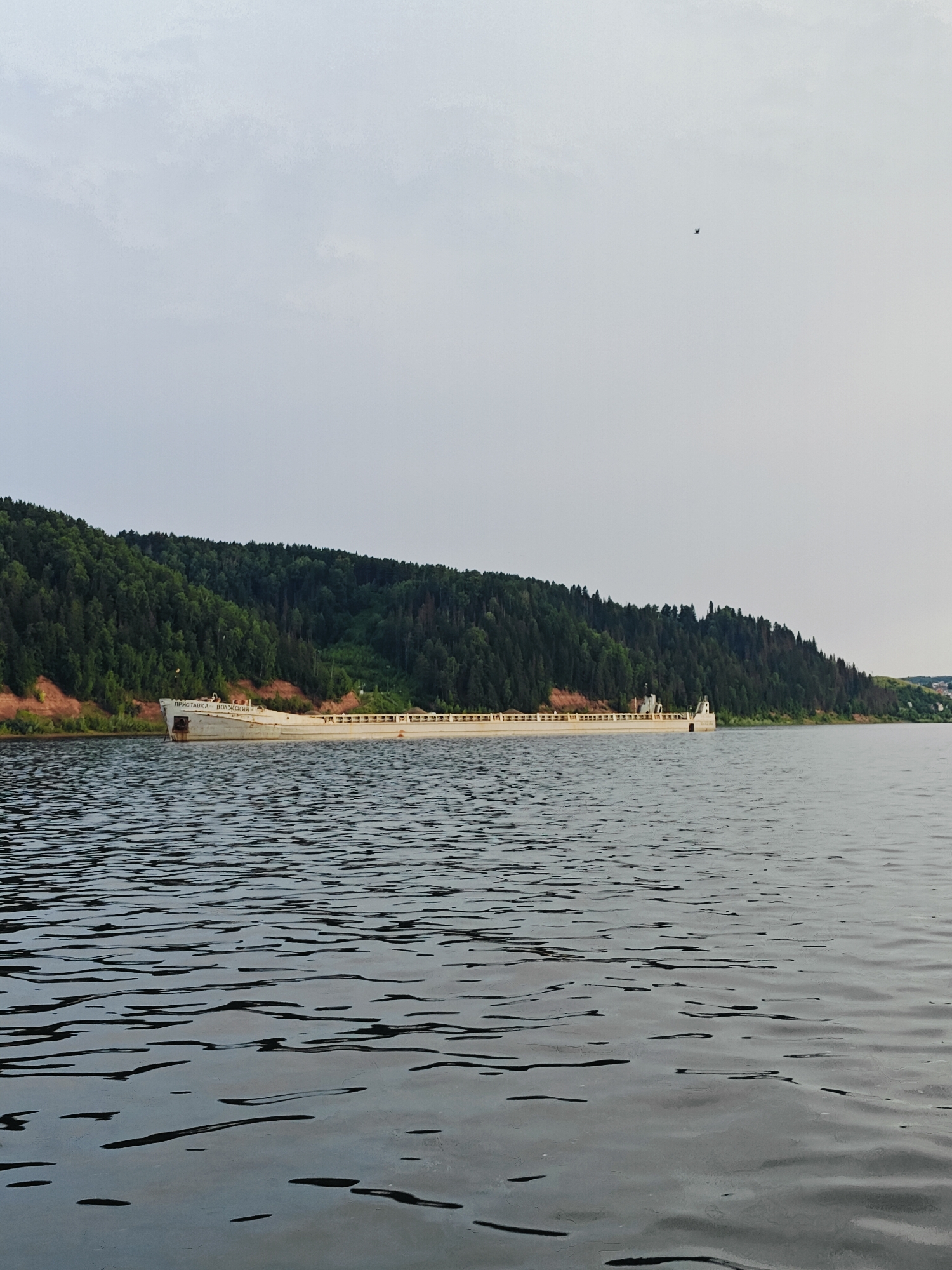 A long, white cargo barge is positioned on the water's surface, extending horizontally across the frame. The barge is a prominent subject, with some visible structures and markings on its deck, including Cyrillic text. The barge is situated near the shore, which is lined with a dense forest of tall, dark green trees. The trees cover a sloping hillside that rises behind the barge. The water in the foreground is dark and rippled, reflecting the overcast sky. In the distance, beyond the forested hill, hints of a settlement can be seen. The sky is a pale, hazy gray, with a single small bird visible in flight in the upper portion of the image. The overall impression is a serene, natural landscape with a man-made element.