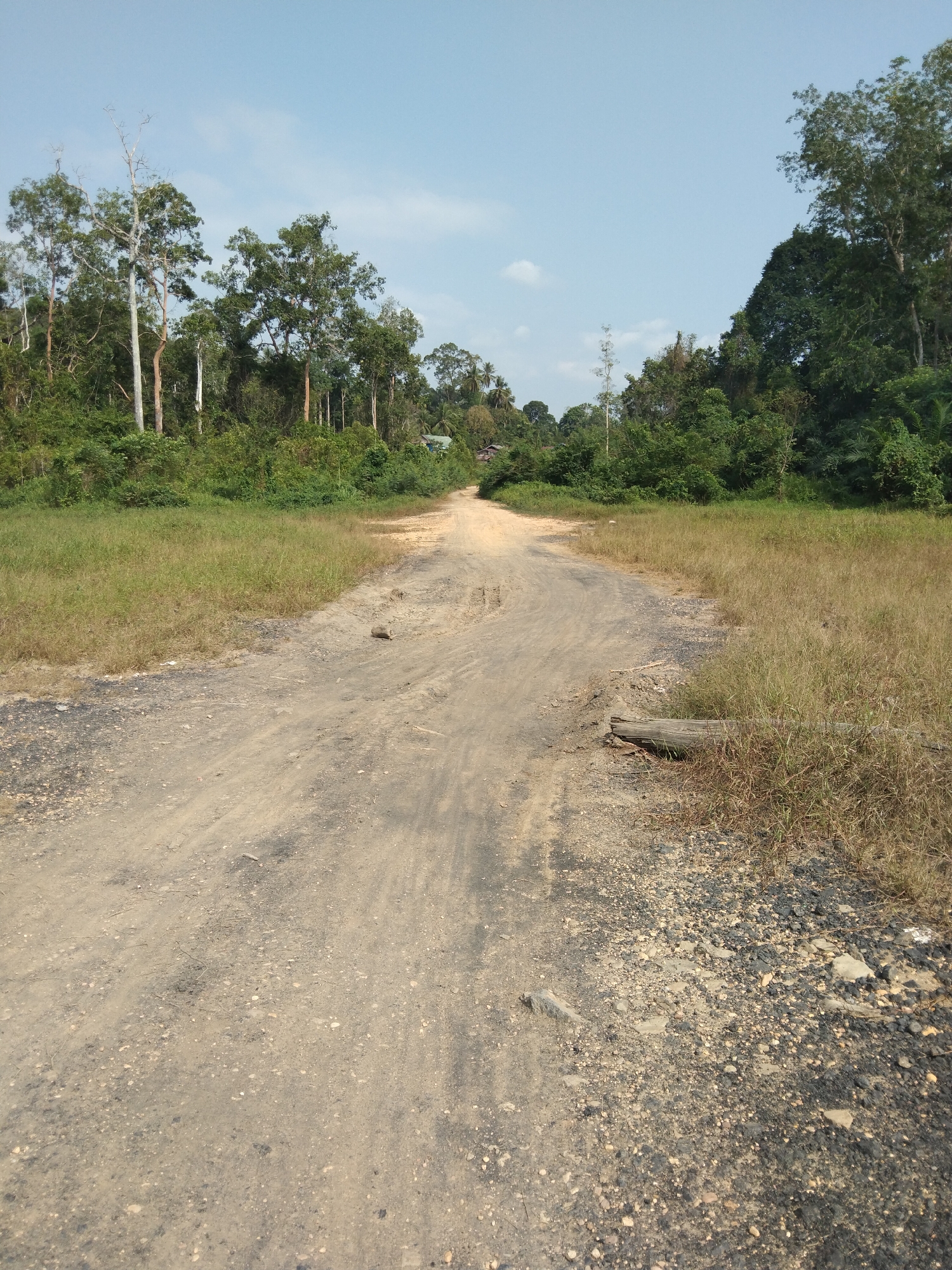 The image depicts a dirt road in a rural, forested area, likely in Indonesia. The road is unpaved and appears to be in a state of disrepair, with visible ruts and loose gravel. Tall trees with dense green foliage line both sides of the road, forming a natural canopy. The sky above is clear and blue with a few scattered white clouds. The ground is covered in dry grass and some scattered debris, including a fallen log on the right side of the road. In the distance, faint structures, possibly houses, are visible amidst the trees, suggesting a small settlement. The overall impression is one of a remote, natural landscape.