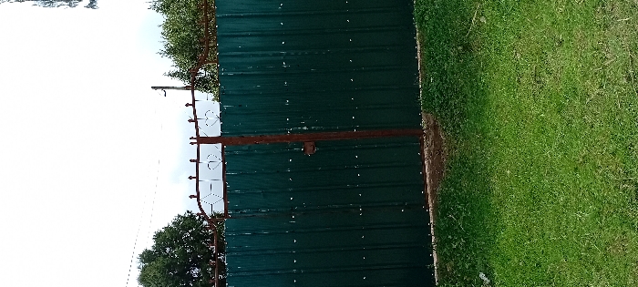The scene is located in Gatakaine, Kenya. It features a dark green corrugated metal fence with a central, reddish-brown metal gate post. The gate is secured by a dark-colored latch mechanism positioned at its vertical midpoint. The top of the fence is adorned with a light-colored decorative metal railing displaying repeating heart and diamond patterns. White rivets are visible securing the corrugated panels. The foreground consists of dense green grass. In the background, above the fence, are multiple utility wires, dense green foliage from trees, and a wooden utility pole visible on the far right. The sky overhead is overcast. No individuals are present.