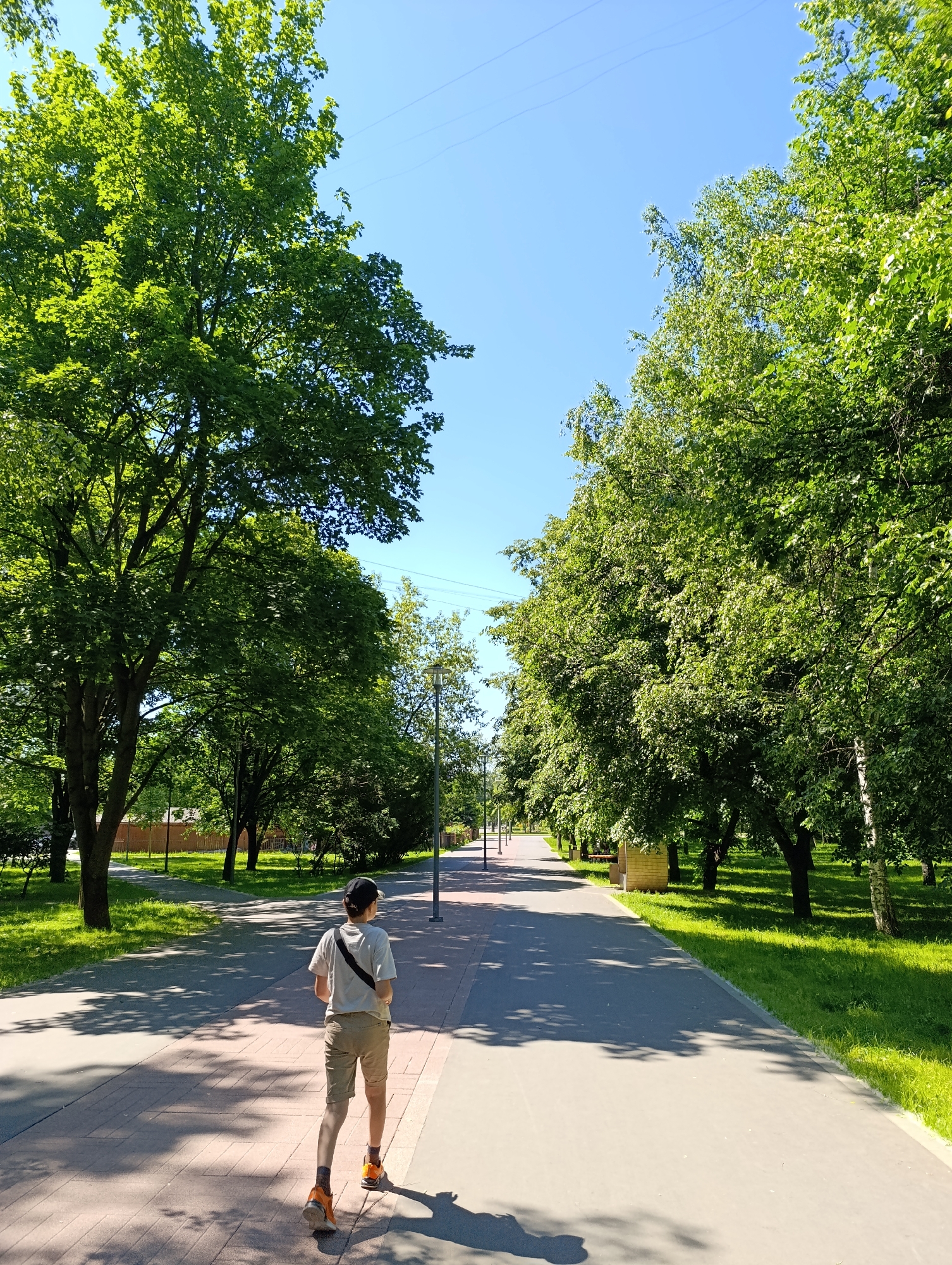 This image depicts an outdoor scene in what is identified as the city of Moscow, Russia, under a clear blue sky. The central subject is a paved pathway flanked by rows of deciduous trees and grassy areas.
A single individual, seen from the back, walks away from the viewer along the pathway. This person wears a light-colored (off-white or beige) short-sleeved t-shirt, light brown (khaki) shorts, and dark socks partially visible above orange and dark-colored athletic shoes. A dark baseball cap covers their head, and a dark strap, possibly from a small bag, extends diagonally across their left shoulder and back. Their elongated shadow is cast forward onto the pathway, indicating a low sun angle, consistent with morning or late afternoon.
The pathway is composed of two distinct sections: the left segment is surfaced with reddish-brown interlocking pavers, while the right segment is smooth grey asphalt or concrete. Both sections appear clean and well-maintained.
Lush green foliage characterizes the numerous trees lining both sides of the path, suggesting a spring or summer season. On the left, several mature trees with dark, thick trunks stand alongside a vibrant green lawn. In the background on the left, beyond the trees and grass, a light-brown wooden fence or building with a reddish roof is partially discernible. On the right side, a denser line of trees, including at least one with distinct white bark (likely a birch tree) in the foreground, borders another strip of bright green grass. Several tall, grey street lamps are regularly spaced along the right edge of the pathway, receding into the distance. Two light-colored, cuboid structures, possibly acting as bases for benches, are visible beneath the trees on the right side. The sky above is uniformly bright blue and cloudless. Faint, thin, dark lines, indicative of overhead power or utility lines, are visible against the sky in the upper-middle and upper-right sections of the image.