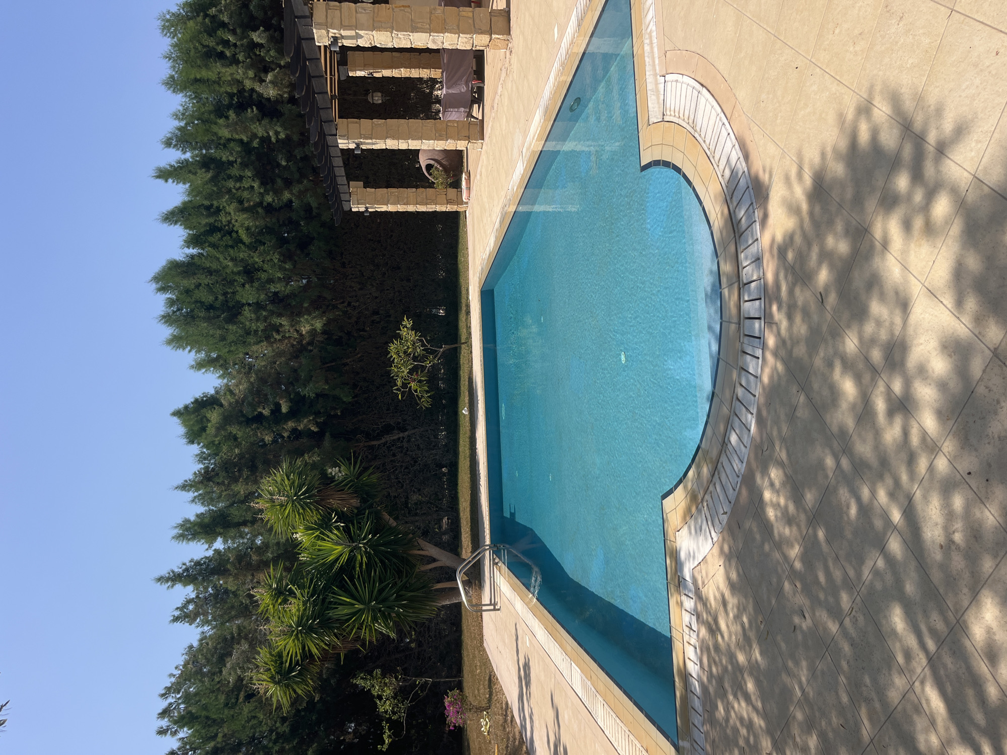 The image depicts an outdoor swimming pool area in Aphrodite Hills, Cyprus. The pool, filled with clear blue water, is rectangular with a curved end and has a metal ladder for access. The surrounding area is paved with light-colored tiles, with a decorative border around the pool. To the left of the pool, a Yucca plant and a small tree with pink flowers are visible. In the background, a dense line of tall green trees forms a natural barrier. To the right, a stone pergola with a dark wooden roof provides shade over a seating area with a table and chairs covered by a grey tarp. The sky is a clear, bright blue, indicating a sunny day. The scene is tranquil and appears to be a private residential or resort property.