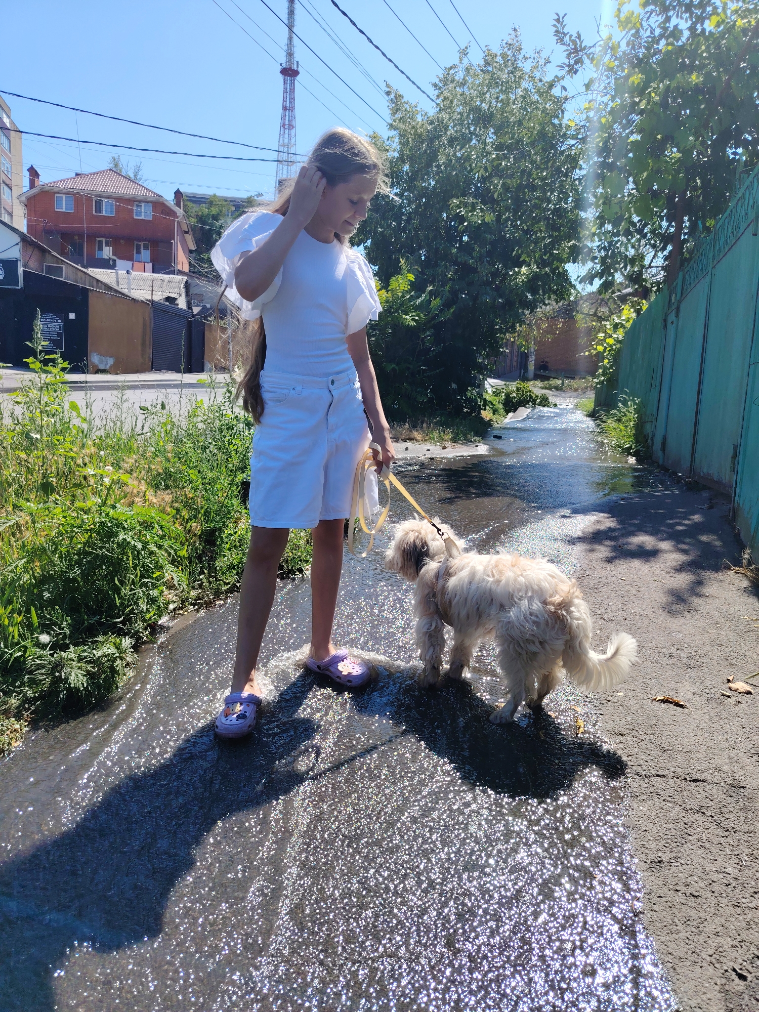 In Rostov-on-Don, Russia, on a sunny day, a young girl with long, blonde hair, wearing a white top and white shorts, stands on a flooded asphalt pathway. She is holding a yellow leash attached to a light-colored, fluffy dog. The dog is standing in the shallow water, which reflects the sunlight, creating a shimmering effect. The girl is looking down at the dog and touching her hair. The pathway is bordered by a patch of green grass and weeds on the left and a green metal fence on the right. In the background, there are buildings, trees, and a tall radio tower. The water appears to be a drainage ditch or a consequence of recent rain.