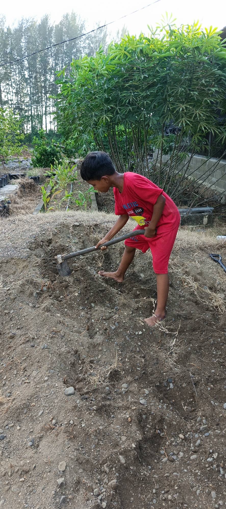 A young boy in a red t-shirt and red shorts is digging in a pile of dirt with a shovel. He is barefoot. The background shows a dense green bush and trees, with what appear to be telephone wires overhead. The ground is covered in dry grass and small stones. The image appears to be taken outdoors, likely in a rural or semi-rural area. Based on visual cues and context, this scene is likely located in Meunasahmesjid, Indonesia, a place characterized by its tropical climate and vegetation.