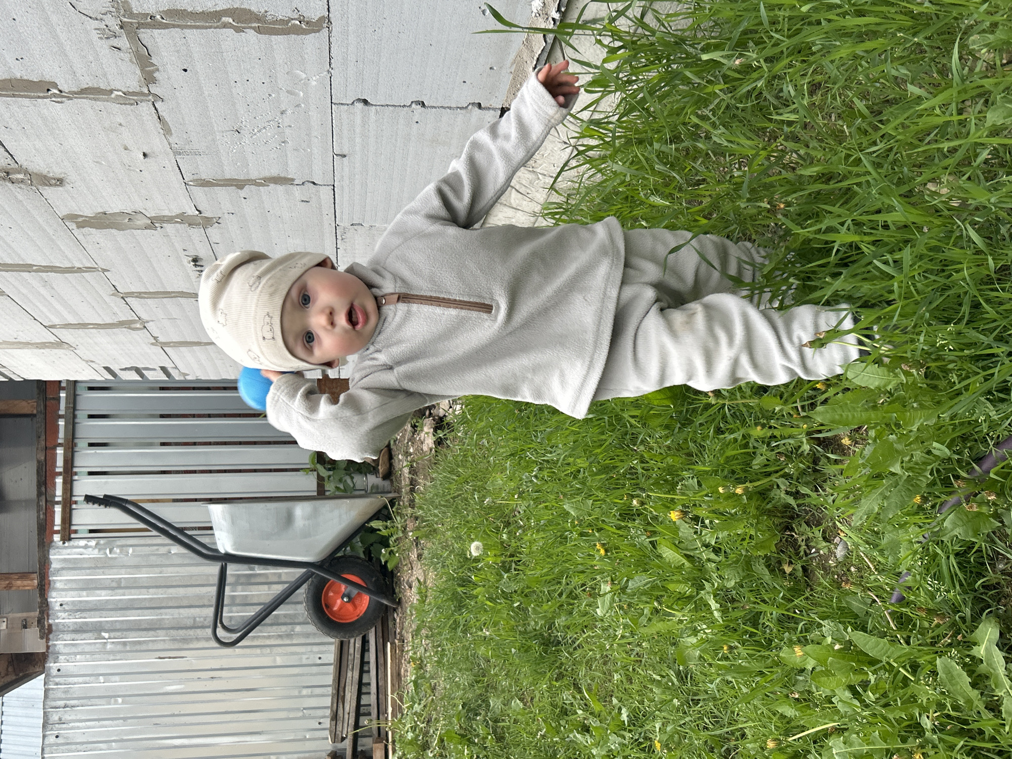 This outdoor photograph, taken in Chaikovsky, Russia, captures a young toddler standing in a patch of green grass. The child is dressed in a light grey fleece pullover and matching pants, complemented by a light-colored beanie with subtle patterns. With wide blue eyes and an open mouth, the toddler looks directly at the viewer, exhibiting an expression of curiosity and engagement. In one hand, the child holds a blue ball, while the other hand is raised and extended towards the left, possibly touching the adjacent wall.
The setting appears to be a rustic yard or an area under development. To the child's left and in the background, a wall constructed from light-colored, large concrete blocks is visible. Further to the left, a corrugated metal fence serves as a backdrop, against which a grey wheelbarrow with a bright orange wheel is parked. The ground in front and to the child's right is covered with lush green grass, interspersed with yellow dandelion flowers and white dandelion seed heads. The natural lighting suggests it is daytime, possibly a bright or overcast day, with no harsh shadows. No visible text is present in the image.