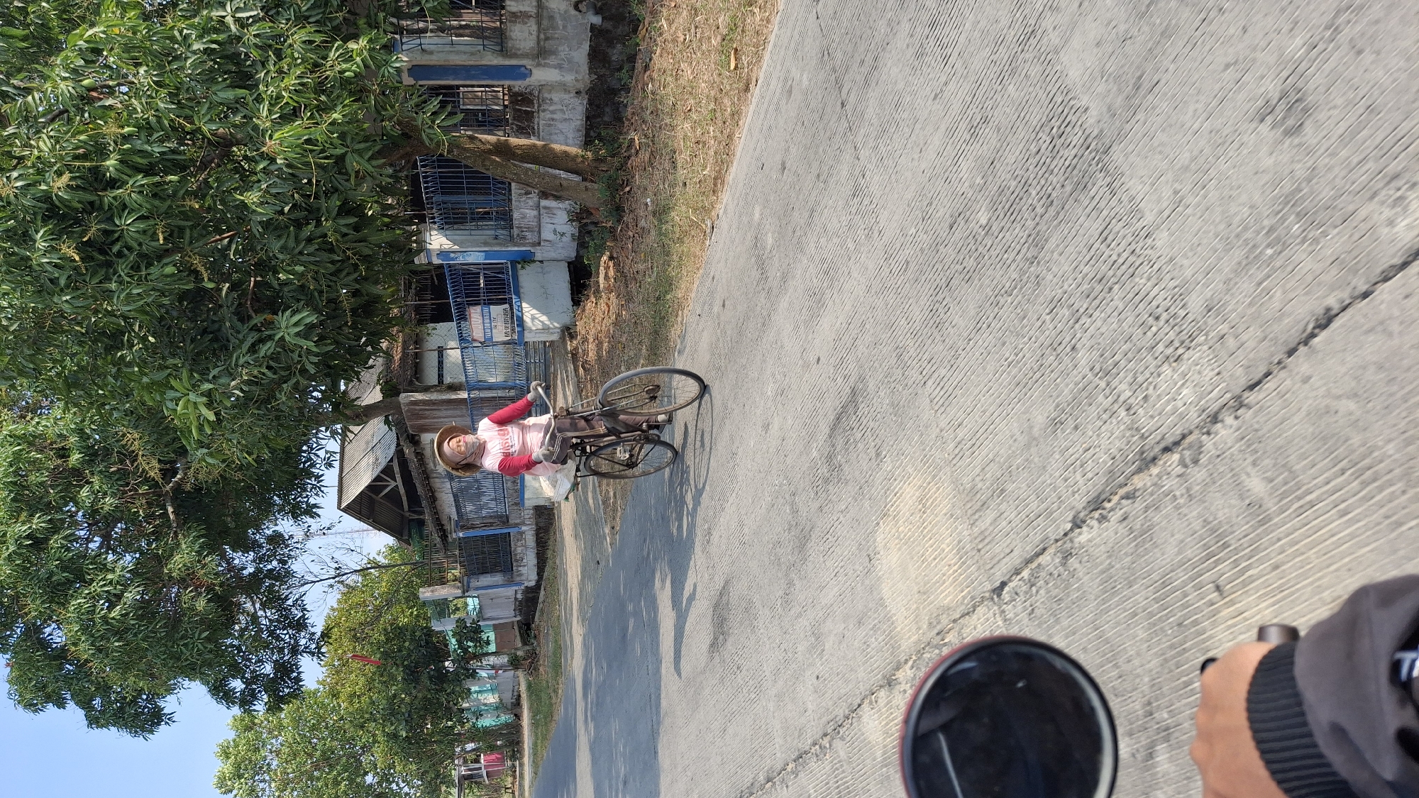 A person wearing a conical hat and a pink long-sleeved shirt rides a bicycle on a paved road in Pucakwangi, Indonesia. The person is carrying a white bag on the back of the bicycle. The road is lined with trees and houses, and a blue fence runs along the side of the property. The sky is clear and blue. The image is taken from the perspective of someone riding a motorcycle.