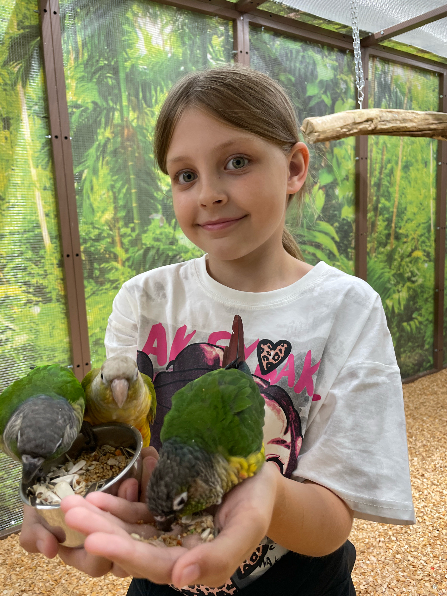 The image shows a young girl with light brown hair and green eyes smiling at the camera. She is wearing a white t-shirt with a graphic print. The girl is holding a metal bowl of birdseed in her hands, and three parrots are feeding from it. One parrot is perched on her left hand, and two are pecking from the bowl. The parrots are green and yellow. The background is a wooden enclosure with a green, leafy mural, suggestive of a tropical environment. The ground is covered in wood chips. There is a wooden branch hanging from a chain above the enclosure. The image was taken outdoors, possibly at a zoo or aviary. There is no information in the image to suggest the location is Izhevsk, Russia.