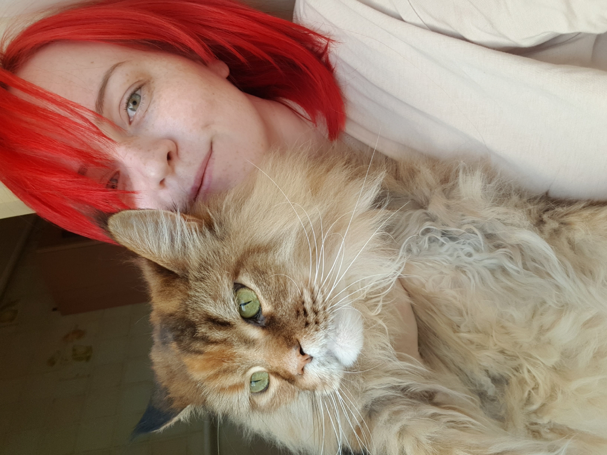 A woman with bright red hair and green eyes is holding a large, fluffy brown and tan cat. The cat has green eyes and long white whiskers. The woman is wearing a light-colored t-shirt. The background is out of focus, but appears to be indoors with a wall and a window. The scene is brightly lit, likely by natural light coming from the window.