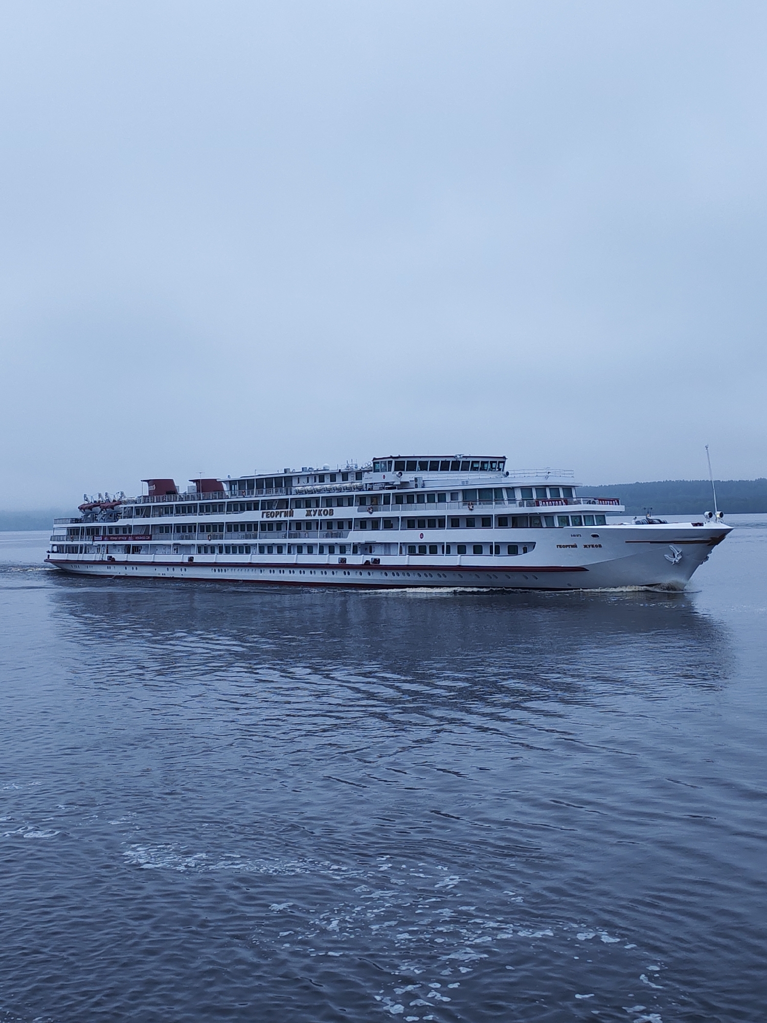 A wide-angle, medium-shot captures the "Georgiy Zhukov" cruise ship navigating a body of water, possibly the Volga River, near the city of Kalyazin, Russia. The multi-deck passenger vessel, white with red accents, is the primary subject. The surrounding environment indicates an overcast day with a gray sky. Water occupies the foreground. A forested shoreline is visible faintly in the background. No people are clearly visible in the image.