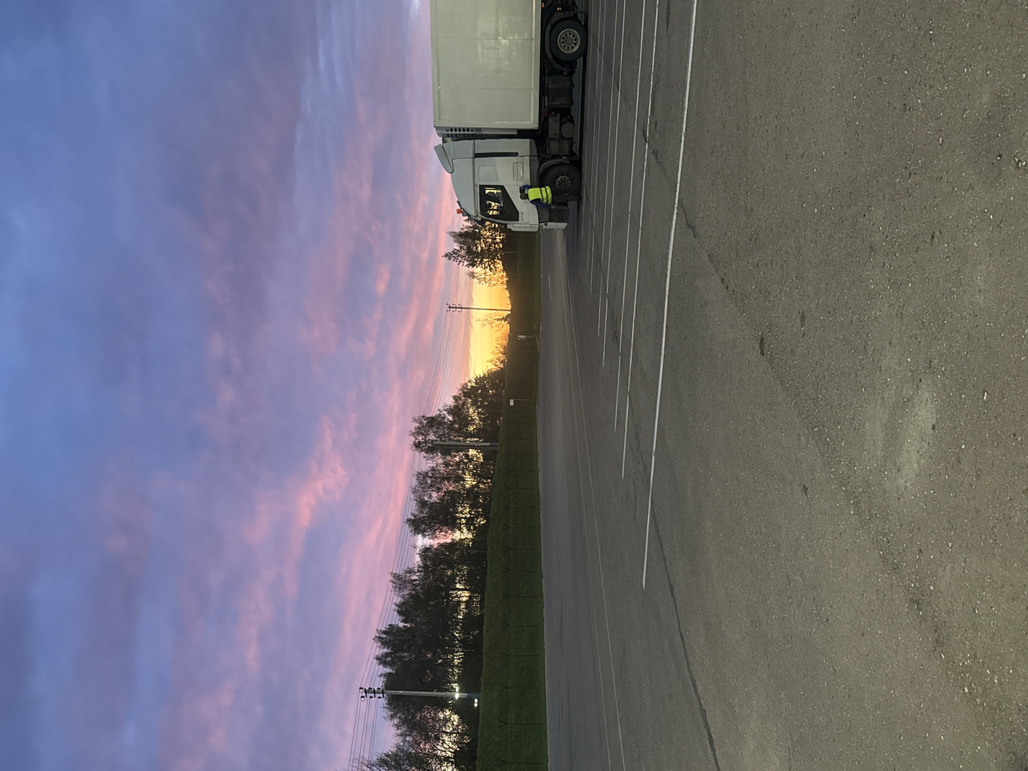 The image shows a commercial truck parked in a lot in Lupanovo, Russia. The sky is filled with pink and purple clouds. Trees and power lines are visible in the distance. A person is standing near the front of the truck. The parking lot surface is asphalt, marked with white parking lines.