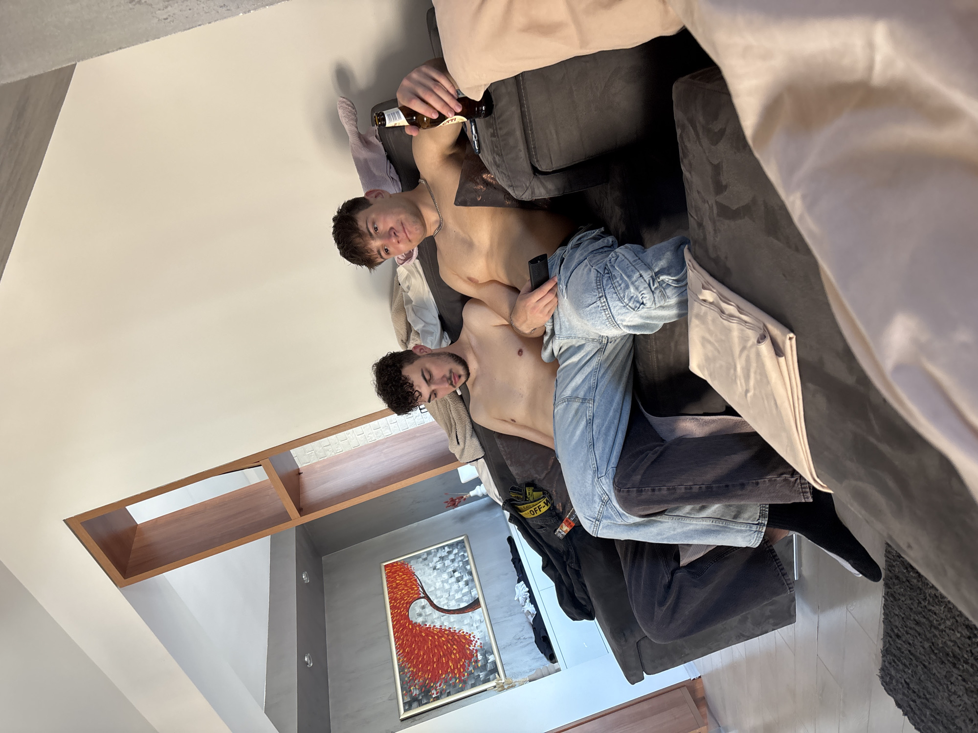Two shirtless men are reclining on a gray sofa in a domestic setting. One man holds a beer bottle, and the other appears to be smoking. The room features a modern interior with a painting of a tree with red leaves on the wall, and a light fixture near the ceiling. The scene does not provide sufficient information to verify or specify the location in Plovdiv, Bulgaria.