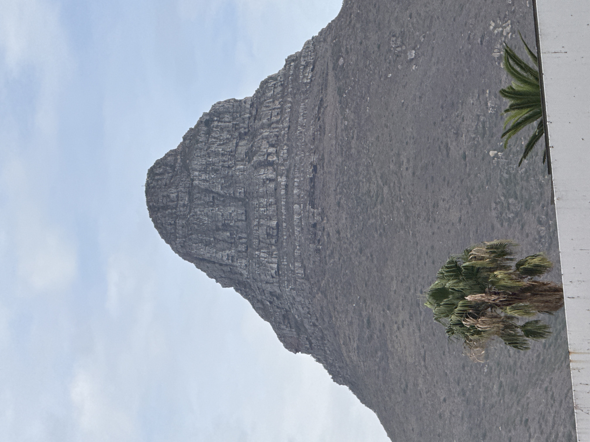 The image shows Lion's Head mountain in Cape Town, South Africa, seen from a foreground position near a building. The mountain, a large rock formation, dominates the frame. It has a distinctly textured surface with layers of rock. Two palm trees are visible near the edge of the building. The sky is a pale blue with some cloud cover.