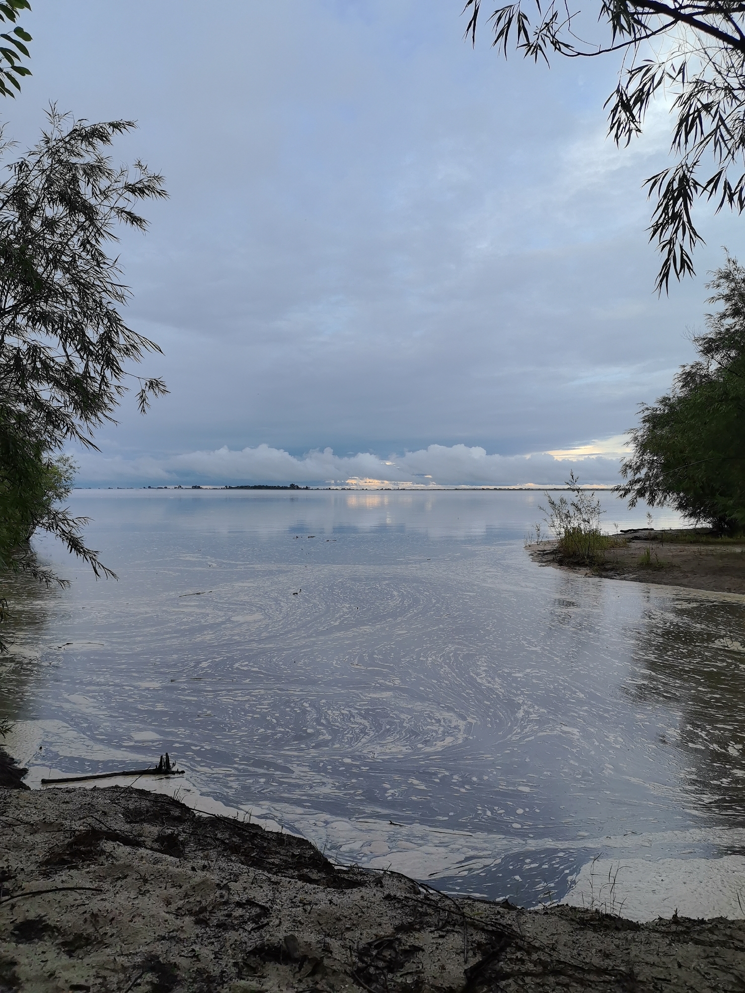 This is a wide-angle, low-angle, outdoor, vertical, photographic image of a calm body of water with a cloudy sky. The foreground consists of a muddy and sandy bank with sparse vegetation. The middle ground is dominated by the still water, which has a foamy, swirling pattern on its surface. In the distance, a thin line of land with trees is visible on the horizon. The sky is overcast with layered clouds, and there are hints of light breaking through in the distance. The overall impression is one of a serene, natural landscape, possibly a lake or a wide river. The image is dark and moody due to the cloudy weather. No people or specific landmarks are visible in the image.