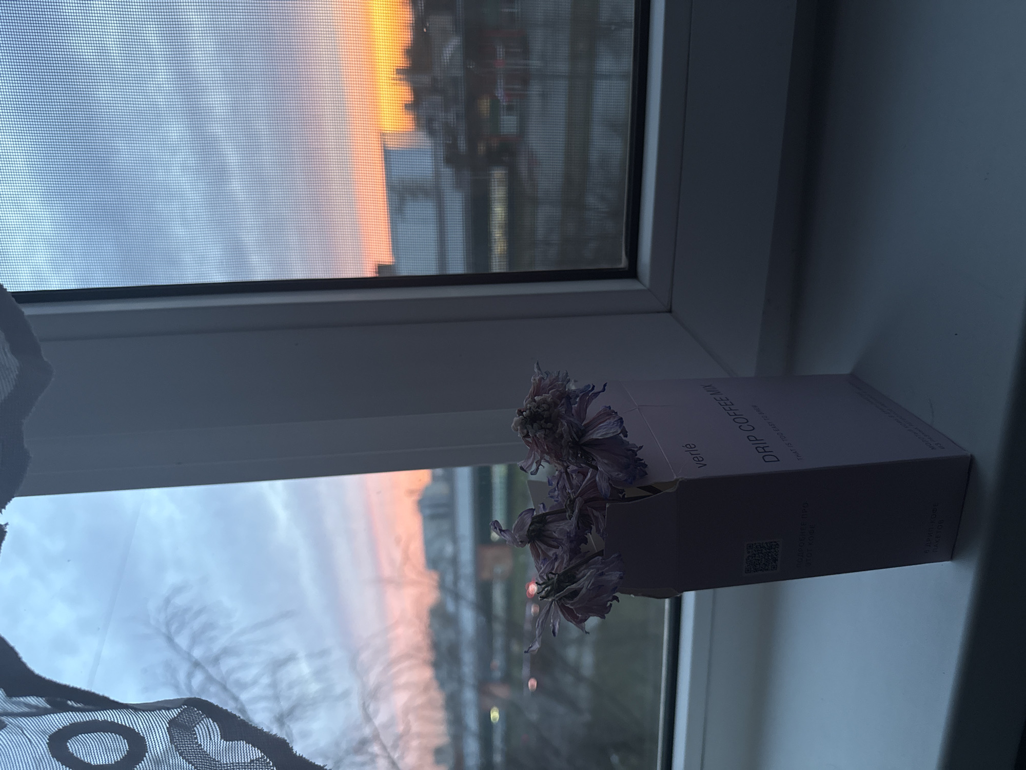 The image shows a window sill with a box of "verlé DRIP COFFEE MIX" and some dried flowers. Through the window, there's a view of a cityscape at sunset or sunrise, with orange and pink hues in the sky. The presence of a window screen suggests the scene is indoors. The angle of the shot indicates it was likely taken close to the window. Without other clues from the background or other elements in the image, it's not possible to identify the specific location in Saint Petersburg, Russia.