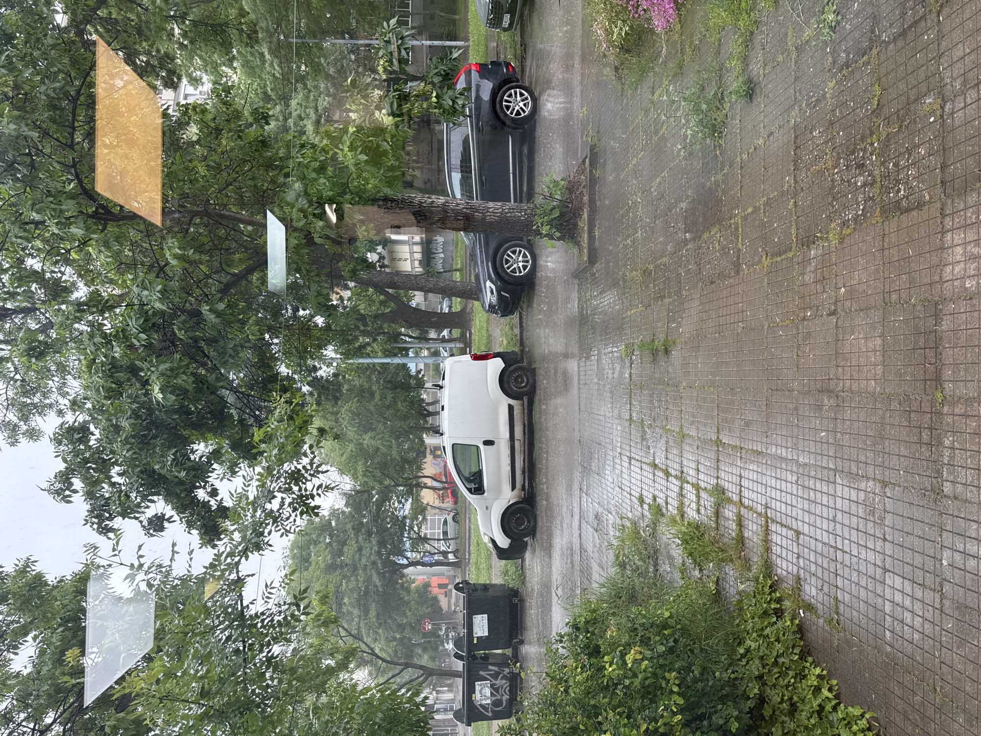The image shows a view from an elevated position, likely a window, overlooking a street in Plovdiv, Bulgaria. The street is wet, suggesting recent rainfall. A white van is parked along the side of the street, next to two black garbage bins. Further up the street, a dark-colored car is also parked. The sidewalk is paved with small, square tiles, and there is vegetation growing between the tiles and along the edges. Trees with green leaves line the street, partially obscuring the view of buildings in the background. Reflections are visible on the window from which the photo was taken, including what appears to be a golden-colored object.