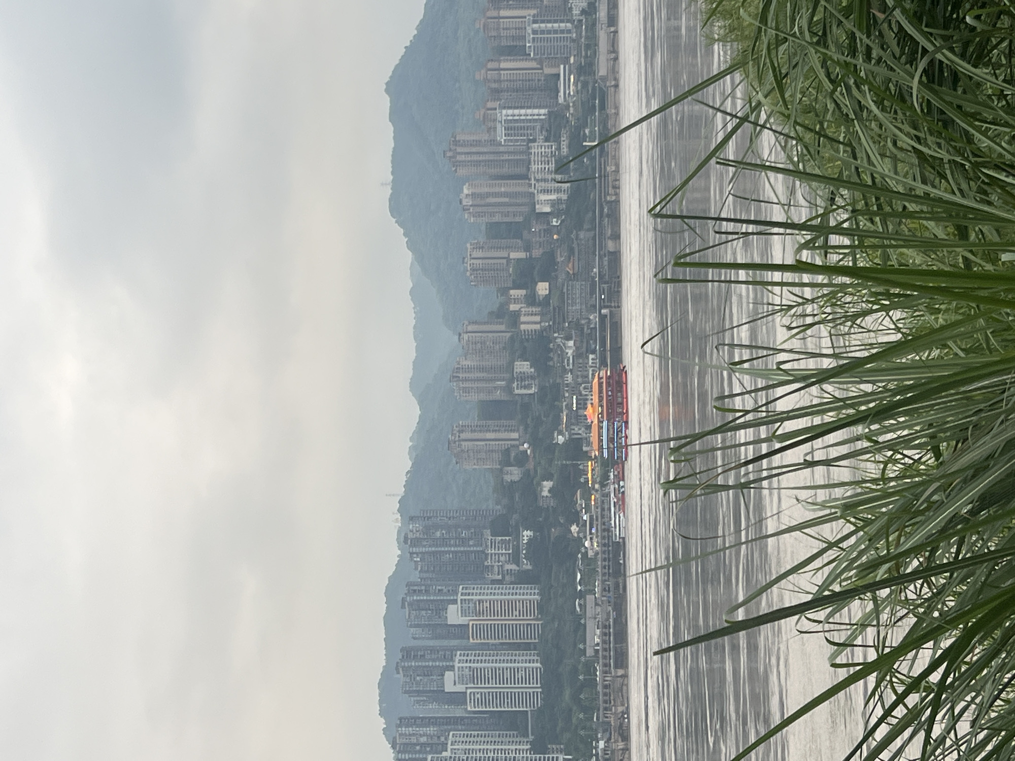 This image depicts a hazy view of the Yangtze River in Nan'an District, Chongqing, China, on a cloudy day. In the foreground, tall green grass partially obstructs the view. The middle ground features a wide, calm river reflecting the overcast sky, with a distinctive red and blue tour boat navigating its waters. In the background, a dense cityscape of numerous high-rise buildings climbs up a steep, verdant hillside, with the peaks of mountains shrouded in mist behind the urban sprawl.
