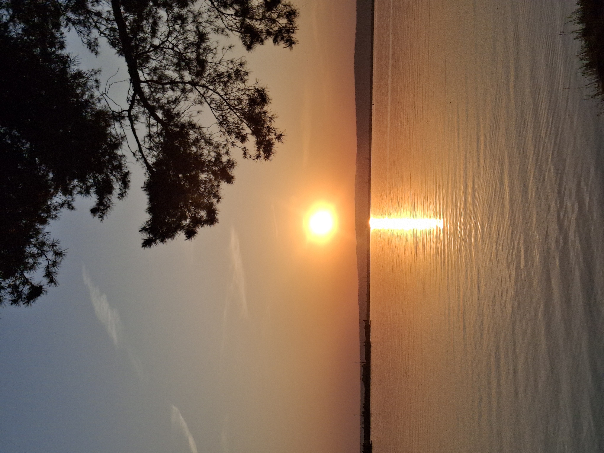 The image captures a sunset over a body of water. The sun is positioned in the center of the frame, reflecting a bright line across the water's surface. A tree branch is silhouetted on the left side of the image. The colors range from orange and yellow near the horizon to darker hues at the top and bottom of the image. The location is unknown and there is no evidence in the image to suggest it is in the city of Chaikovsky, Russia. There are no people or visible interactions depicted in the image.