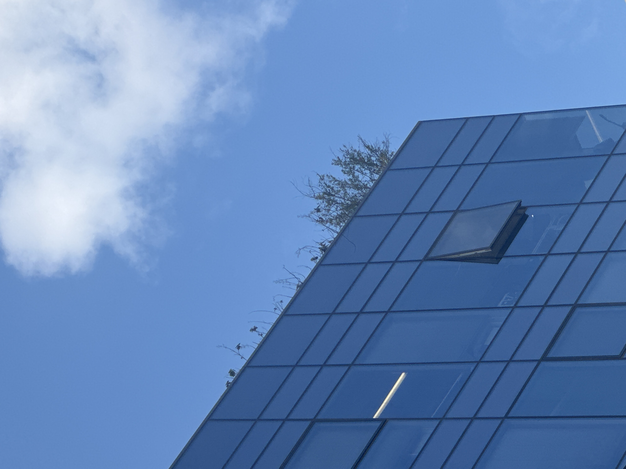 The image shows a modern building in Tel Aviv, Israel. The building has a glass facade with a grid-like pattern. A small patch of vegetation is visible at the top edge of the building. One of the windows is open. The sky is blue with some white clouds.