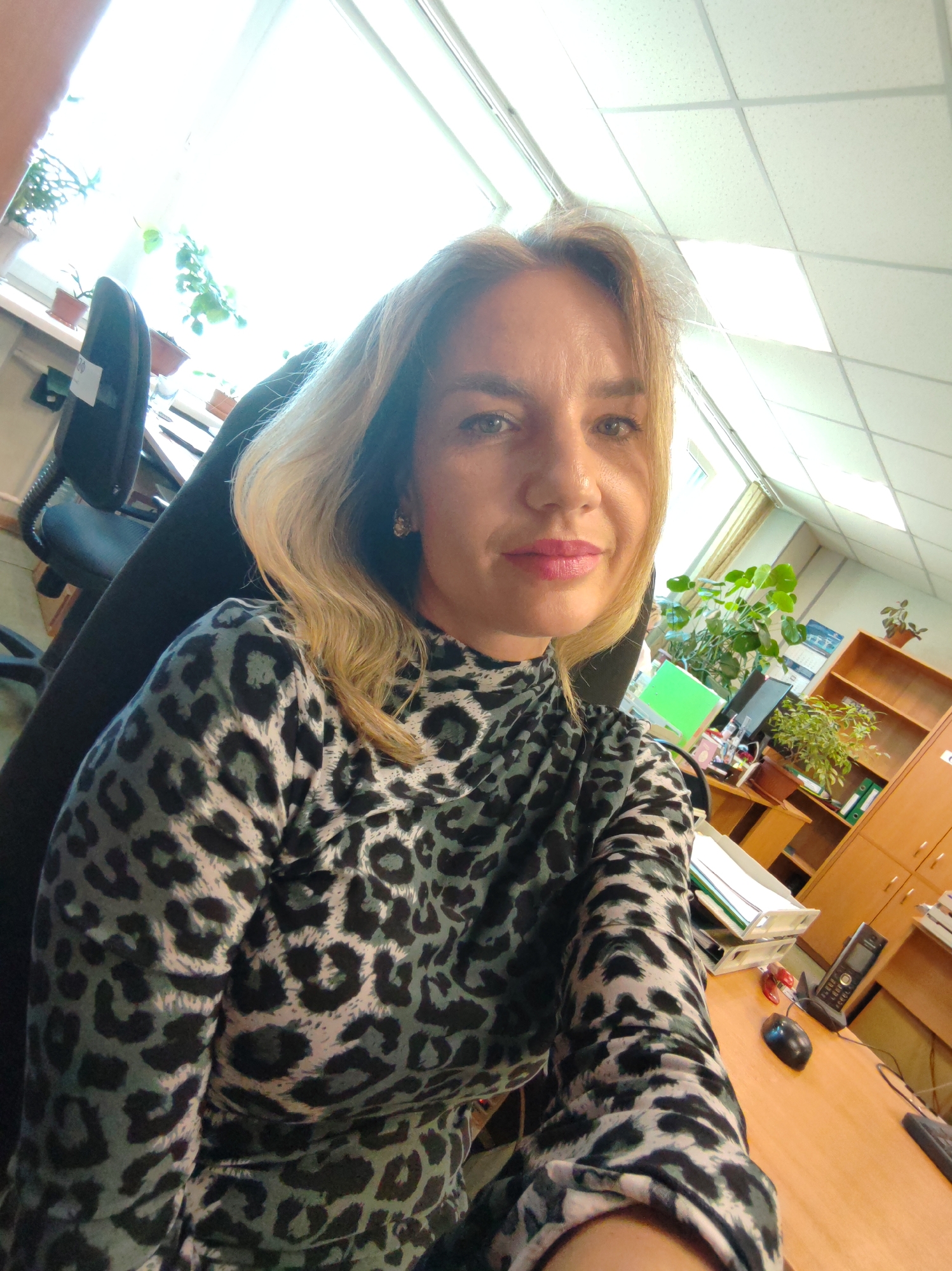 A medium-shot selfie captures a woman in an office setting. She has blonde hair, light-colored eyes, and is wearing pink lipstick, with a pleasant expression and a slight smile directed at the camera. She is wearing a long-sleeved top with a distinctive grey and black leopard print pattern.
The scene is an indoor office, indicated by the furniture and equipment. The woman is seated in a black office chair, visible behind her. To her right, a wooden desk holds various office items, including a black computer mouse, a black landline phone with a visible keypad, and document trays filled with papers. A small red object is also on the desk.
In the background, a large window allows bright natural light into the room, revealing potted plants on the windowsill. Overhead, white ceiling panels with integrated fluorescent lighting illuminate the space. To the right, a wooden bookshelf or cabinet stands, holding documents and another potted plant. A wall calendar is affixed above the bookshelf, though its text is illegible. Another computer monitor with a bright green screen is partially visible behind her. The overall impression is a brightly lit, organized office environment during the daytime.