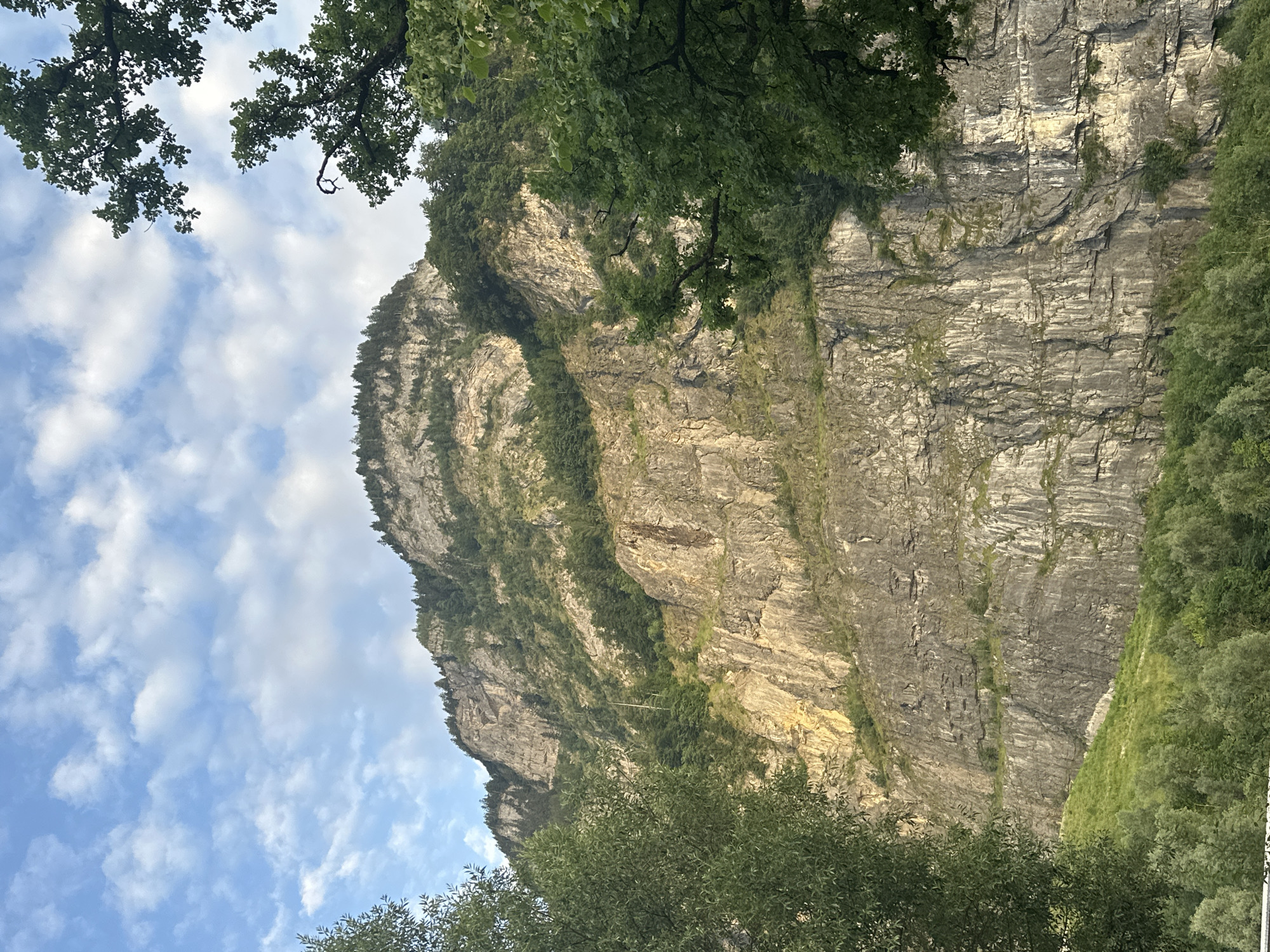 This is a vertical, eye-level, wide shot of a steep, rocky mountain face in Dornbirn, Austria, covered in patches of green vegetation and trees. The sky above is blue with scattered white clouds. In the foreground, the lower part of the mountain is covered by a dense forest of green trees. The rocky mountain face dominates the center and right of the frame, with layers of grey rock and scree, interspersed with dark green trees and scrub growing in crevices. Sunlight illuminates parts of the rock face, creating highlights and shadows that emphasize its texture and steepness. On the far left, a large tree with green leaves partially obscures the view of the mountain. On the upper right, a mature tree with dark green leaves and branches extends into the frame from the top corner. The overall scene depicts a natural landscape with a dramatic, rugged mountain.