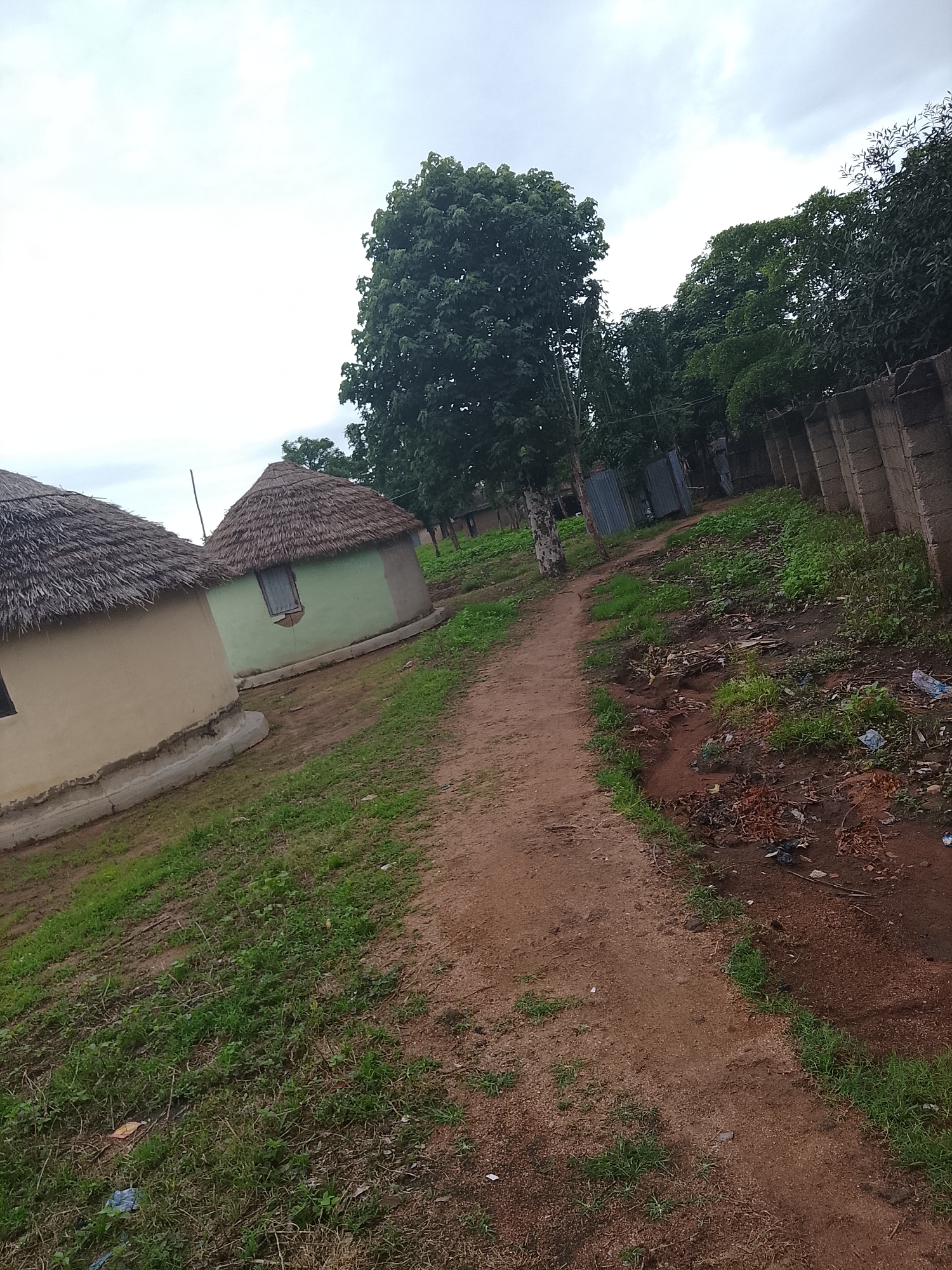 The image depicts a village scene in Barikin Sibre, Nigeria, under an overcast sky. Two round, thatched-roof huts are visible in the foreground. The hut on the left is painted a light beige, while the hut on the right is a pale green with a small, dark window. A dirt path runs diagonally through the center of the image, leading into the distance. To the right of the path, a concrete wall with vertical supports runs along the edge of the property, and beyond the wall, dense green trees and foliage are present. The ground along the path and the edge of the property shows some debris, including plastic bags and dried leaves. The overall environment appears to be rural and somewhat unkempt.