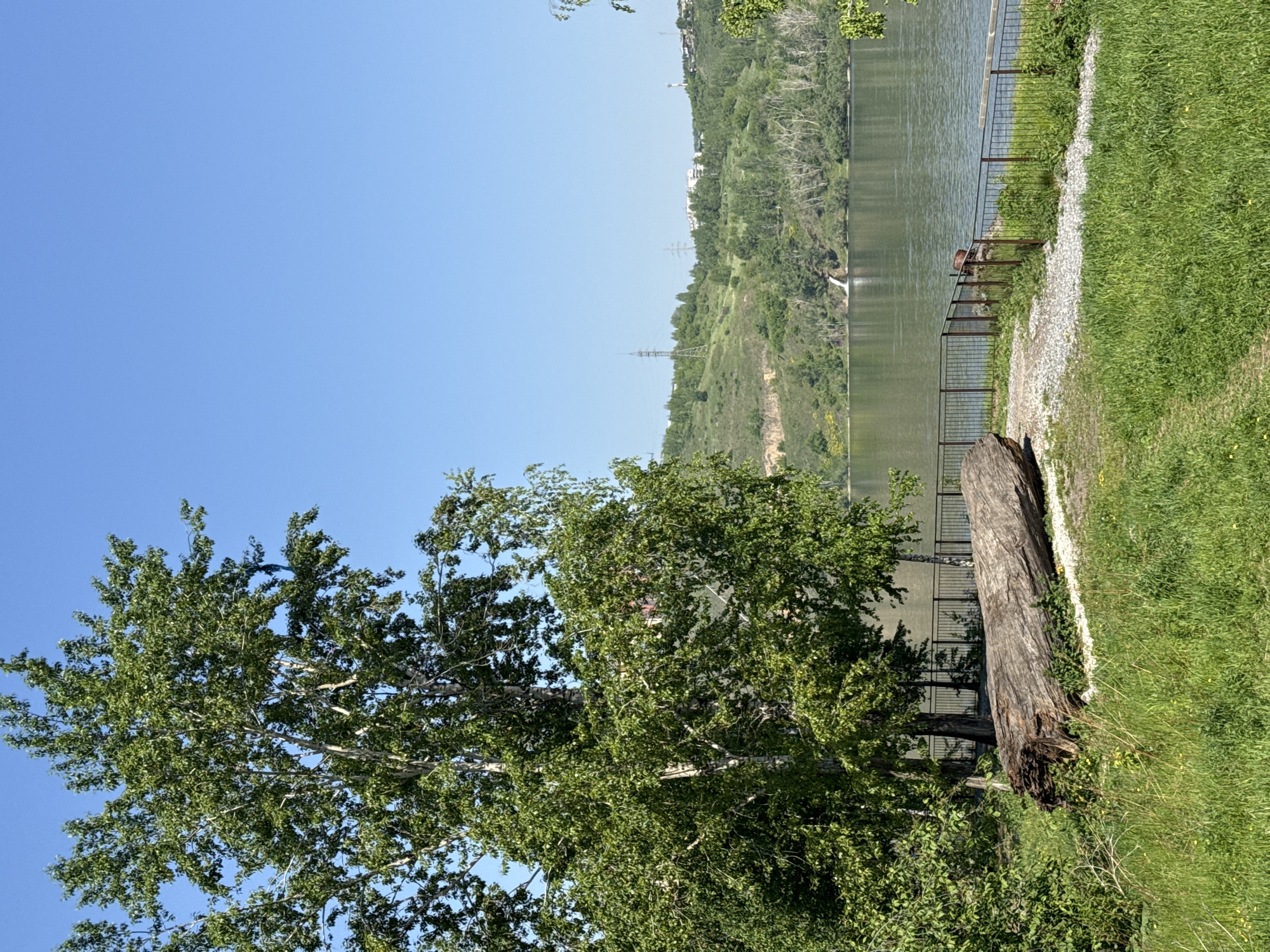 This outdoor image, captured on a clear, sunny day, presents a scene along the Yenisei River in Krasnoyarsk, Russia. In the immediate foreground, lush green grass interspersed with small yellow flowers covers the lower portion of the frame. A large, weathered tree trunk, approximately 4 meters in length, rests horizontally on a gentle incline, positioned partially on the grass and partly on a light-colored gravel path that curves to the right towards the river.
Dominating the left mid-ground is a mature birch tree, characterized by its prominent light-colored bark and dense green foliage, extending from the bottom to the top left corner of the frame. Adjacent to the gravel path, a dark, waist-high metal fence runs parallel to the riverbank, marking a boundary. Behind this fence and to the right of the fallen log, a single individual is seated on a structure, facing the river; their specific details are indistinct due to the distance.
The calm, greenish-grey water of the Yenisei River occupies the central mid-ground. Across the river, the background reveals a series of verdant hills heavily forested with deciduous trees. A distinct, slender waterfall cascades down the hillside into the river, visible in the center-right of the background. Scattered across the distant hilltops are several tall, metallic lattice-style electricity pylons and multiple white multi-story buildings, indicating urban development. Further right along the distant ridge, additional structures are discernible.