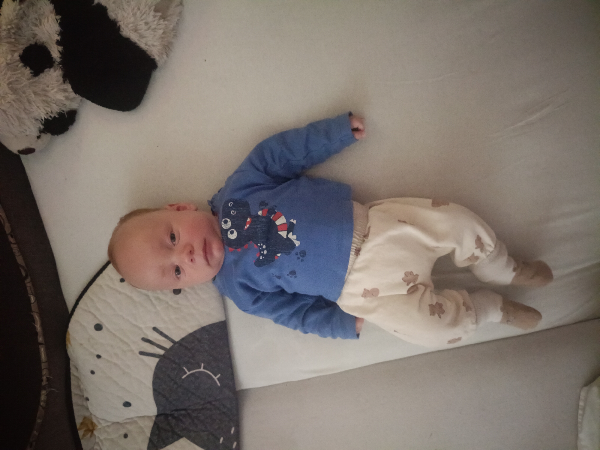 The image shows a baby lying on a white surface, likely a crib mattress. The baby is wearing a blue long-sleeved shirt with a dinosaur graphic and cream-colored pants with a repeating leaf and bear pattern. There are socks on the baby's feet. To the left of the baby is a grey pillow with a black cat design. To the upper right, a plush toy, possibly a panda, is visible. The background consists of a dark material, suggesting the inside of a crib. There is no information in the image to suggest a location in Litynia, Ukraine.