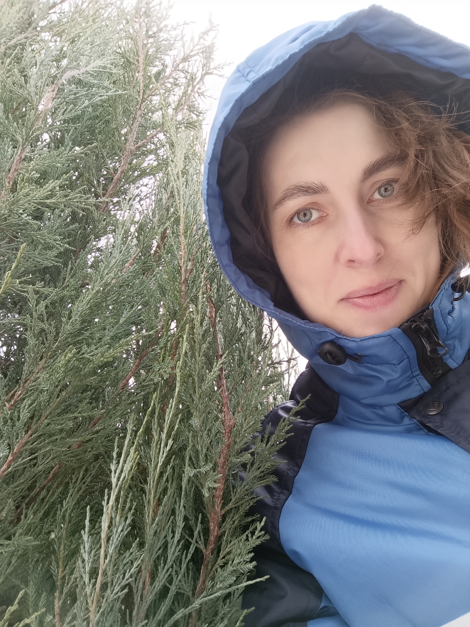 A woman stands next to a coniferous shrub, possibly a juniper or cypress, outdoors. She wears a blue hooded jacket, with the hood up, and her face is visible, revealing fair skin, brown hair, and light-colored eyes. The sky appears overcast. The photograph was taken in the city of Chaikovsky, Russia.
