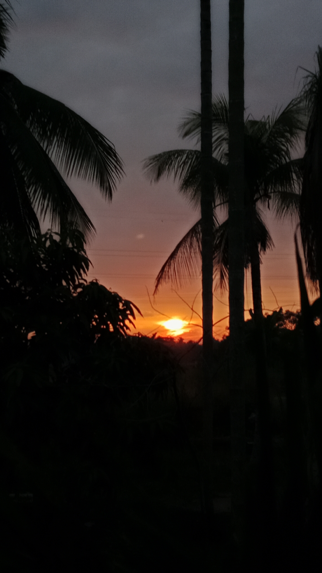 The image depicts a sunset scene with silhouettes of palm trees and foliage against a dusky sky. The sun, a bright orange orb, is low on the horizon, casting a warm glow that fades into shades of pink and gray in the sky. Power lines are faintly visible crisscrossing the sky in the distance. The foreground is dominated by the dark silhouettes of tropical vegetation and palm trees, obscuring the ground and any potential details of the surrounding environment. The scene suggests a natural setting, possibly a rural or semi-rural area on the outskirts of Lhokseumawe, Indonesia, given the presence of palm trees and the tropical light conditions characteristic of Southeast Asia. There are no people, animals, or specific man-made structures clearly visible in the image.