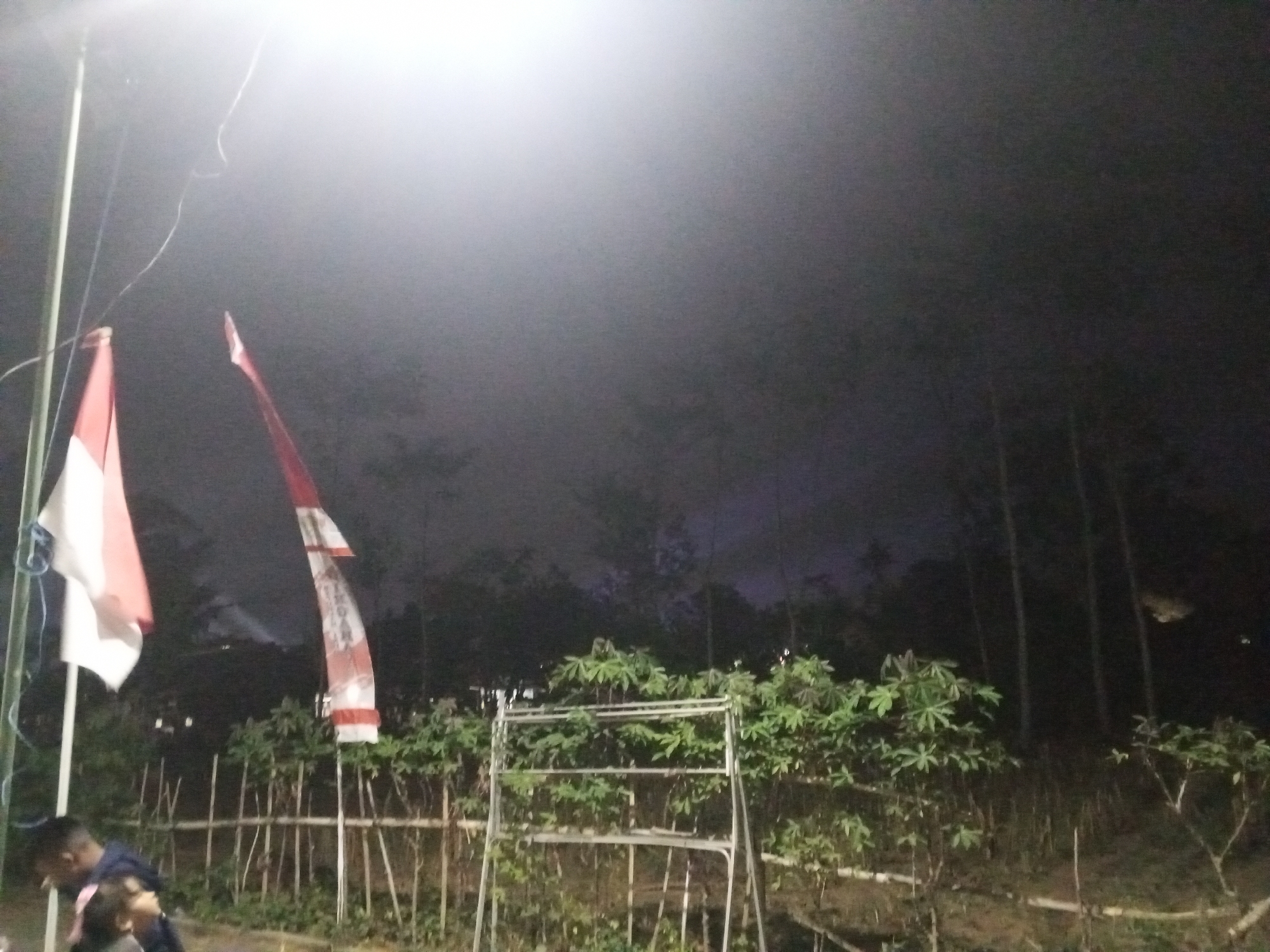 The image depicts an outdoor nighttime scene, likely in Turen, Indonesia, illuminated by a bright overhead light source creating a strong glare. Two Indonesian flags are visible, one on a pole to the left, appearing red and white, and another to its right, a red and white banner with some text. In the foreground, a metal structure, possibly a drying rack or shelf, is positioned in front of a dense growth of leafy green plants. A bamboo fence runs horizontally behind the plants. To the left, two individuals are partially visible; one is a man from the shoulders up, wearing a dark jacket, and a younger person is standing next to him. The background consists of a dark, silhouetted tree line against a cloudy, dark sky. The overall impression is of a rural or semi-rural setting at night.
